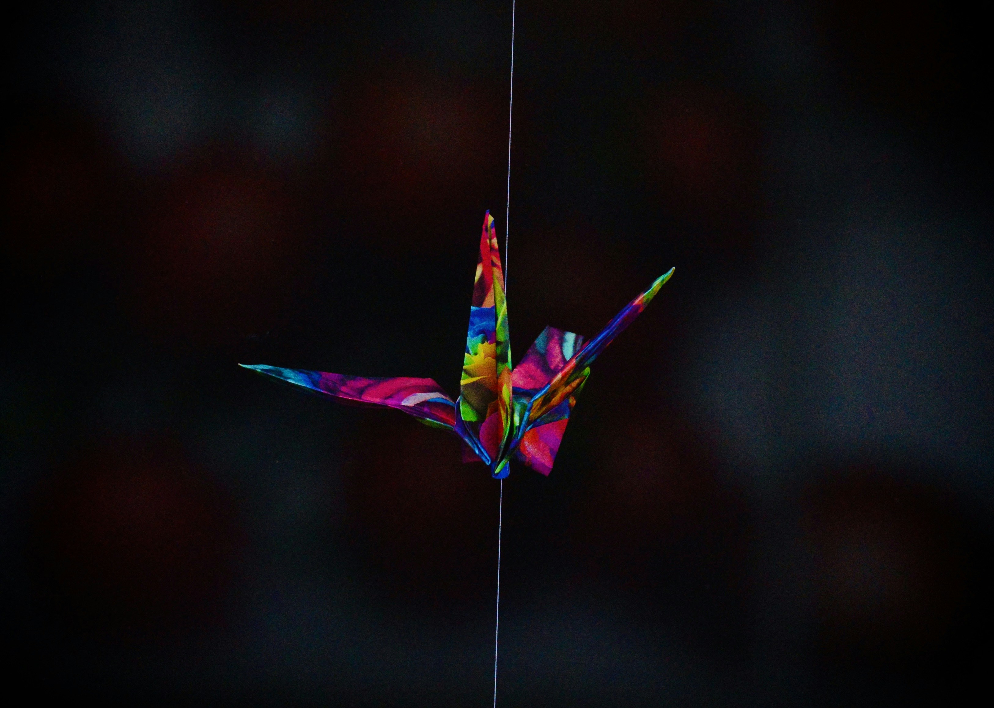 pink yellow and green butterfly decor