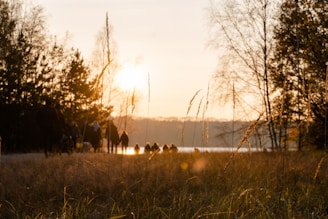 A serene landscape featuring a pathway bordered by tall grass and trees, bathed in the warm glow of a setting sun. Silhouettes of people, possibly walking or biking, are seen along the path, suggesting a peaceful congregation in nature.