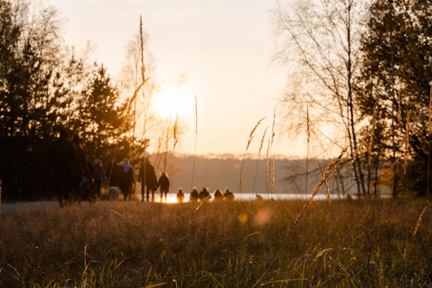 A serene landscape featuring a pathway bordered by tall grass and trees, bathed in the warm glow of a setting sun. Silhouettes of people, possibly walking or biking, are seen along the path, suggesting a peaceful congregation in nature.