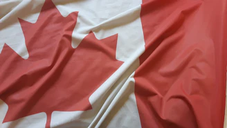 white and red textile on white textile