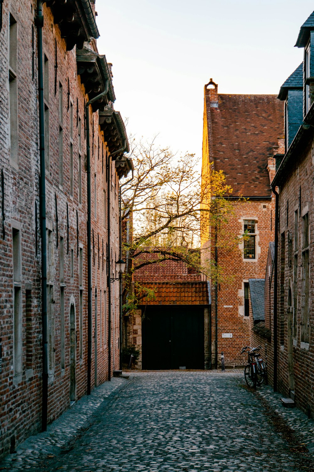 brown brick building near bare trees during daytime