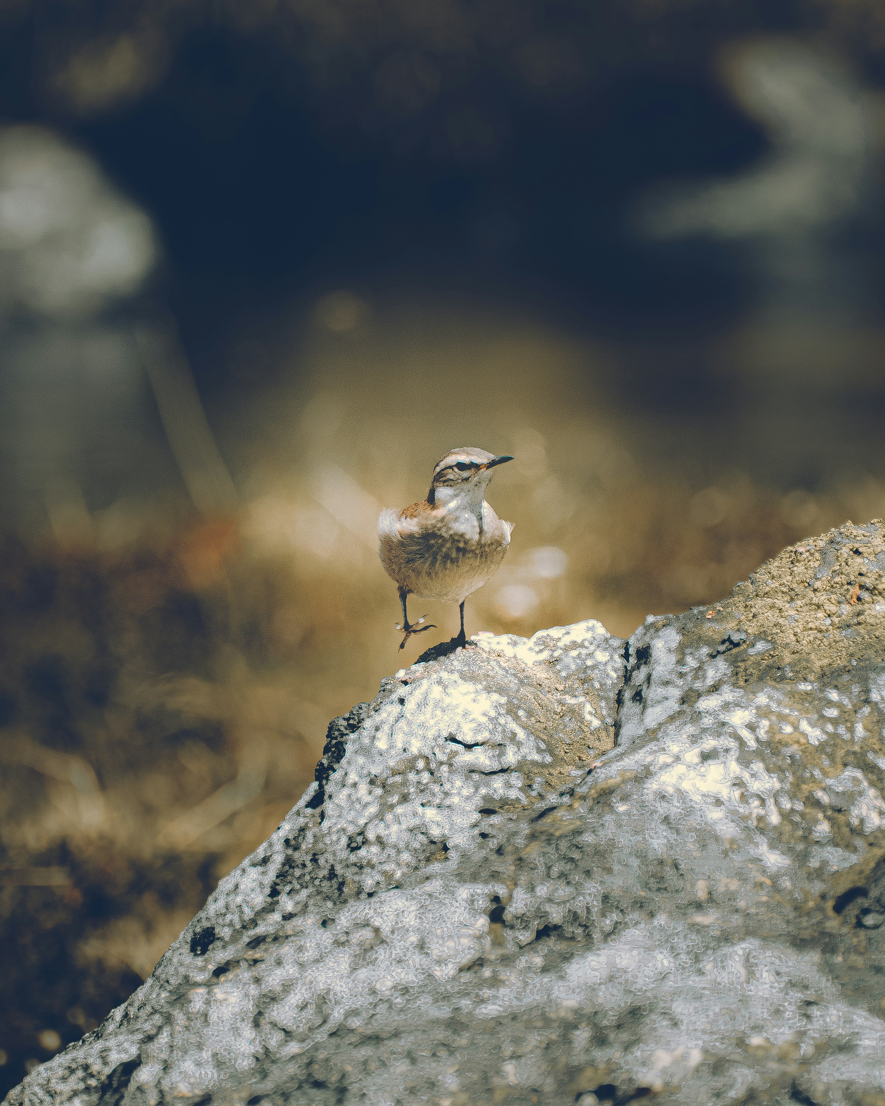 Photo by williamsiann