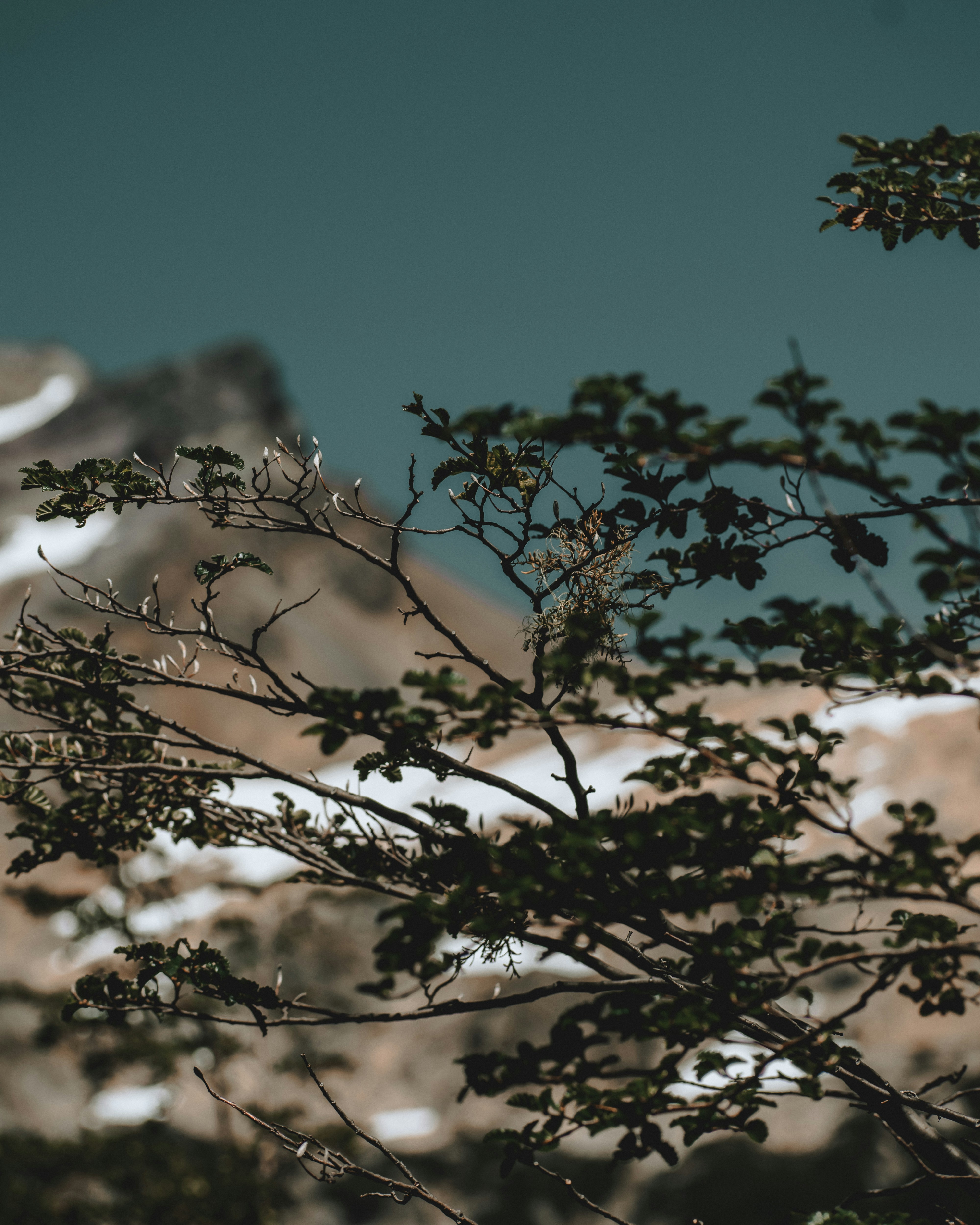 Photo by williamsiann
