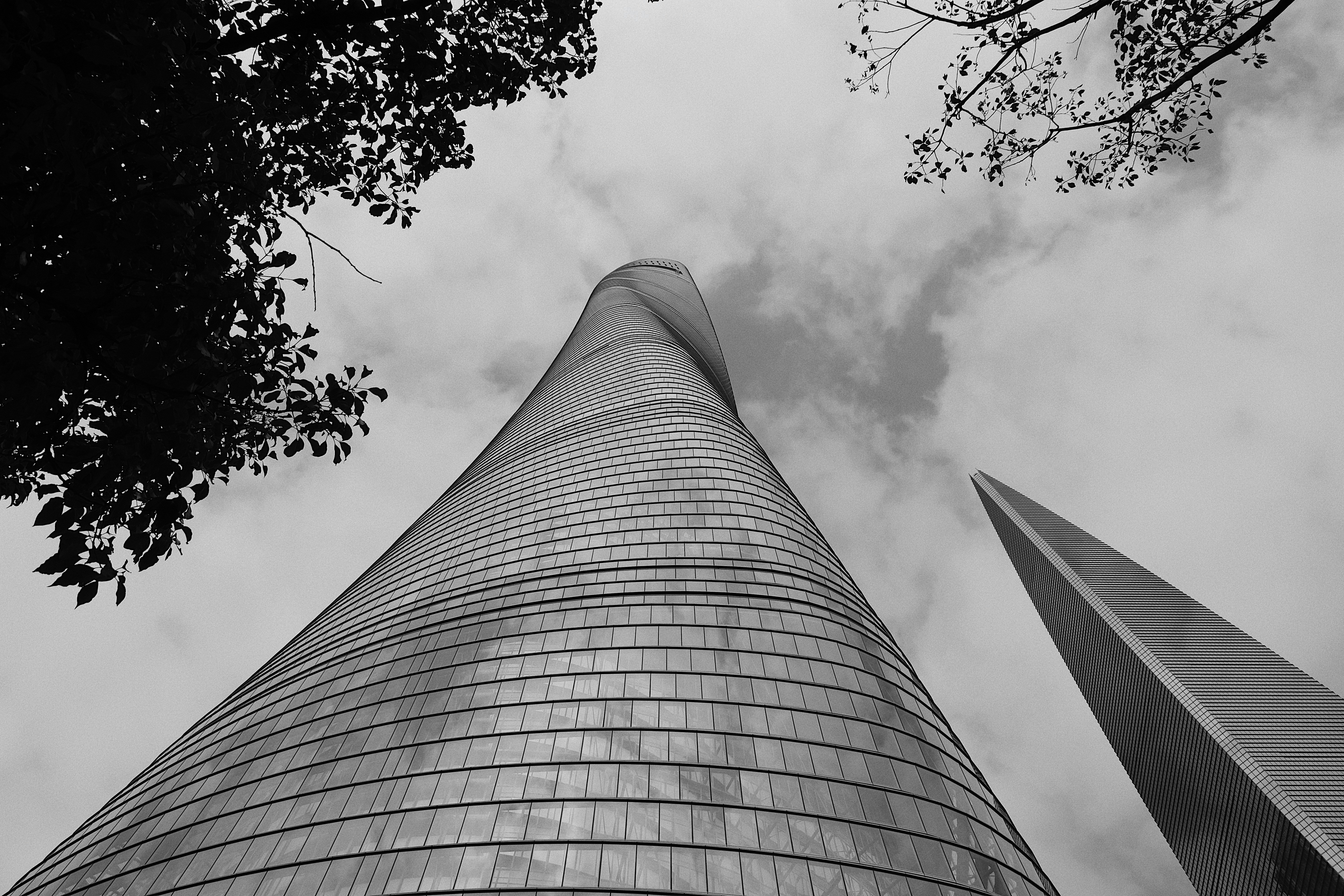 Photo by jizhidexiaohailang