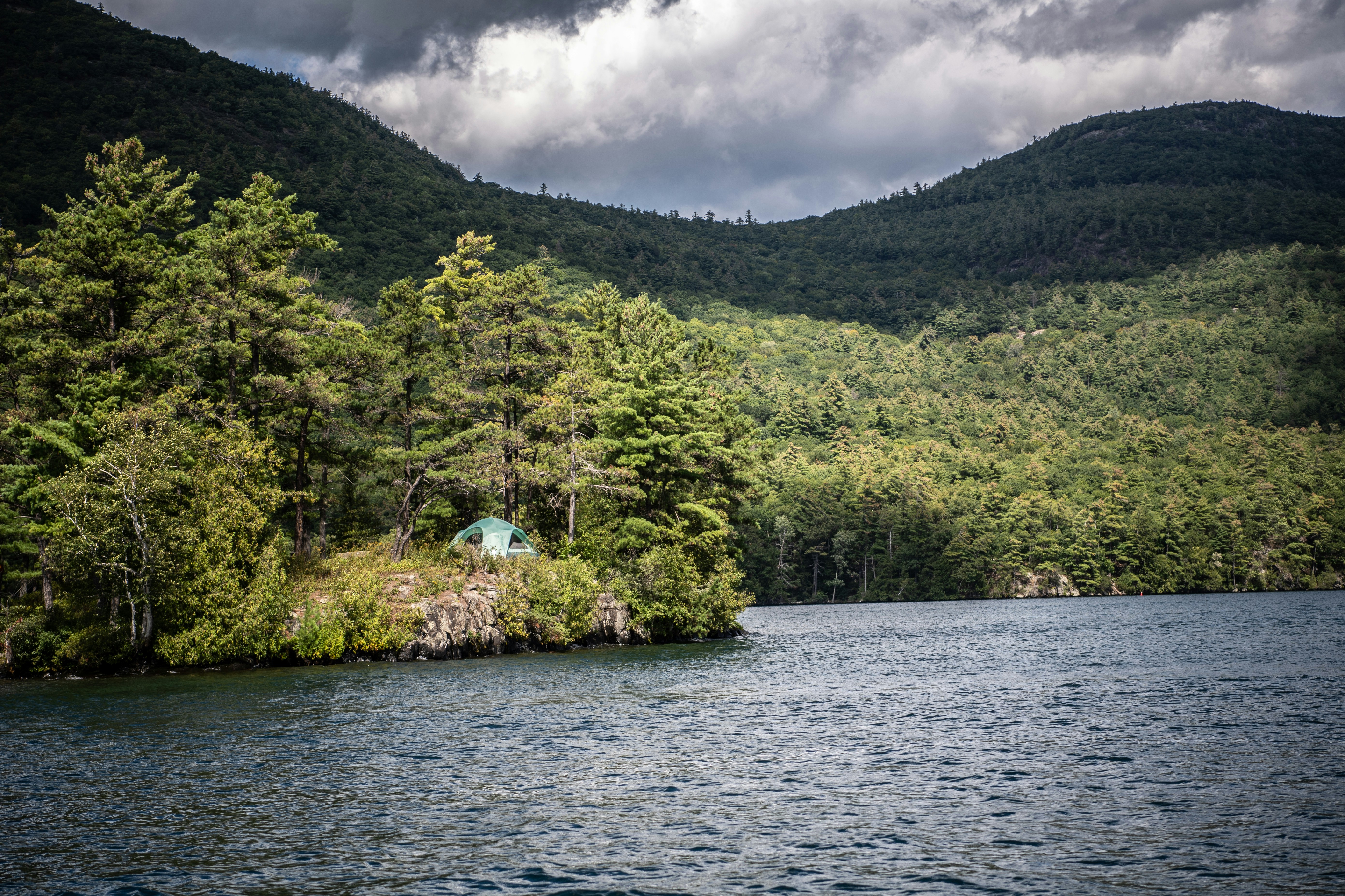 green trees beside river during daytime