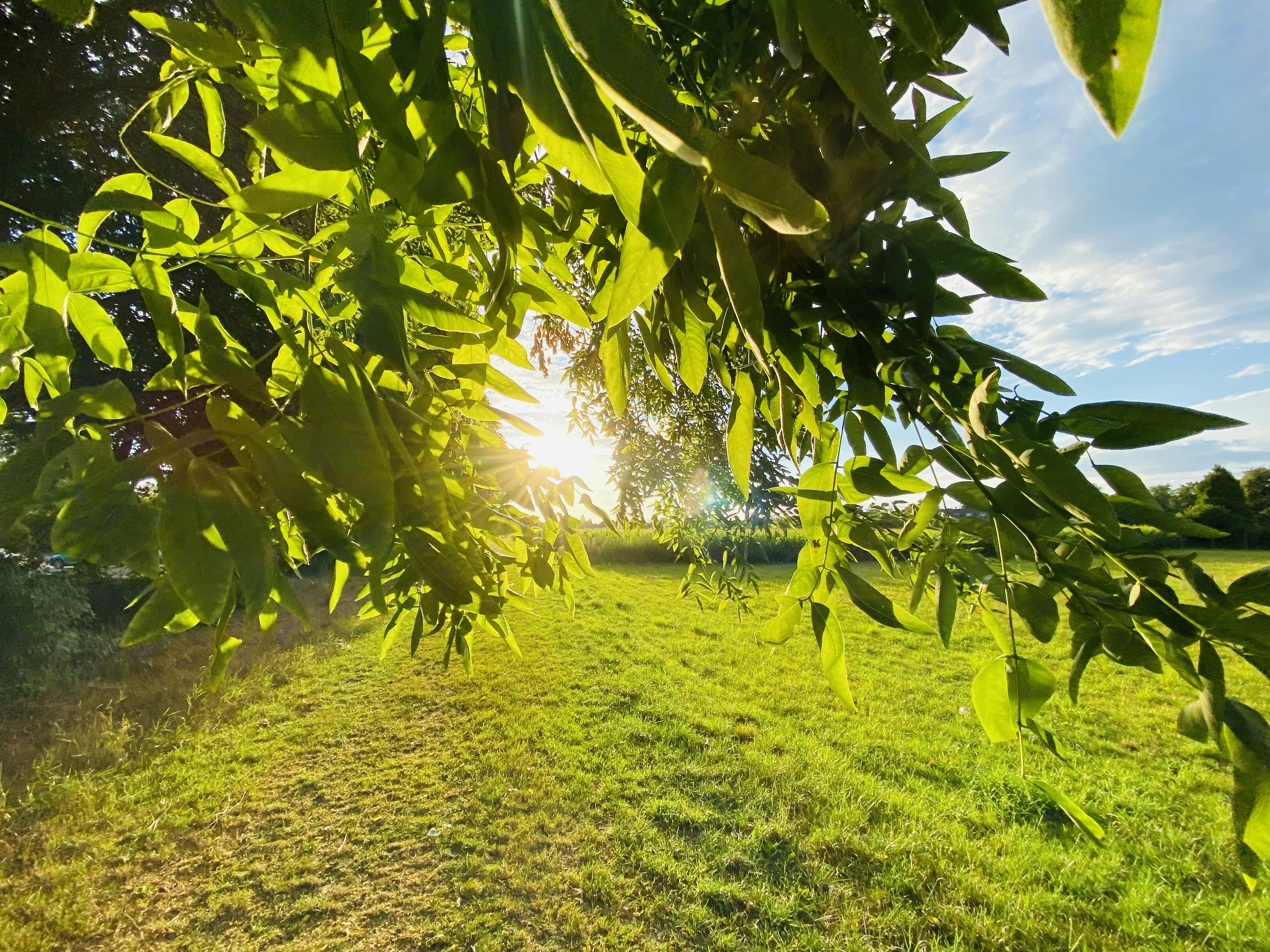 Photo by harshana_kaushalya