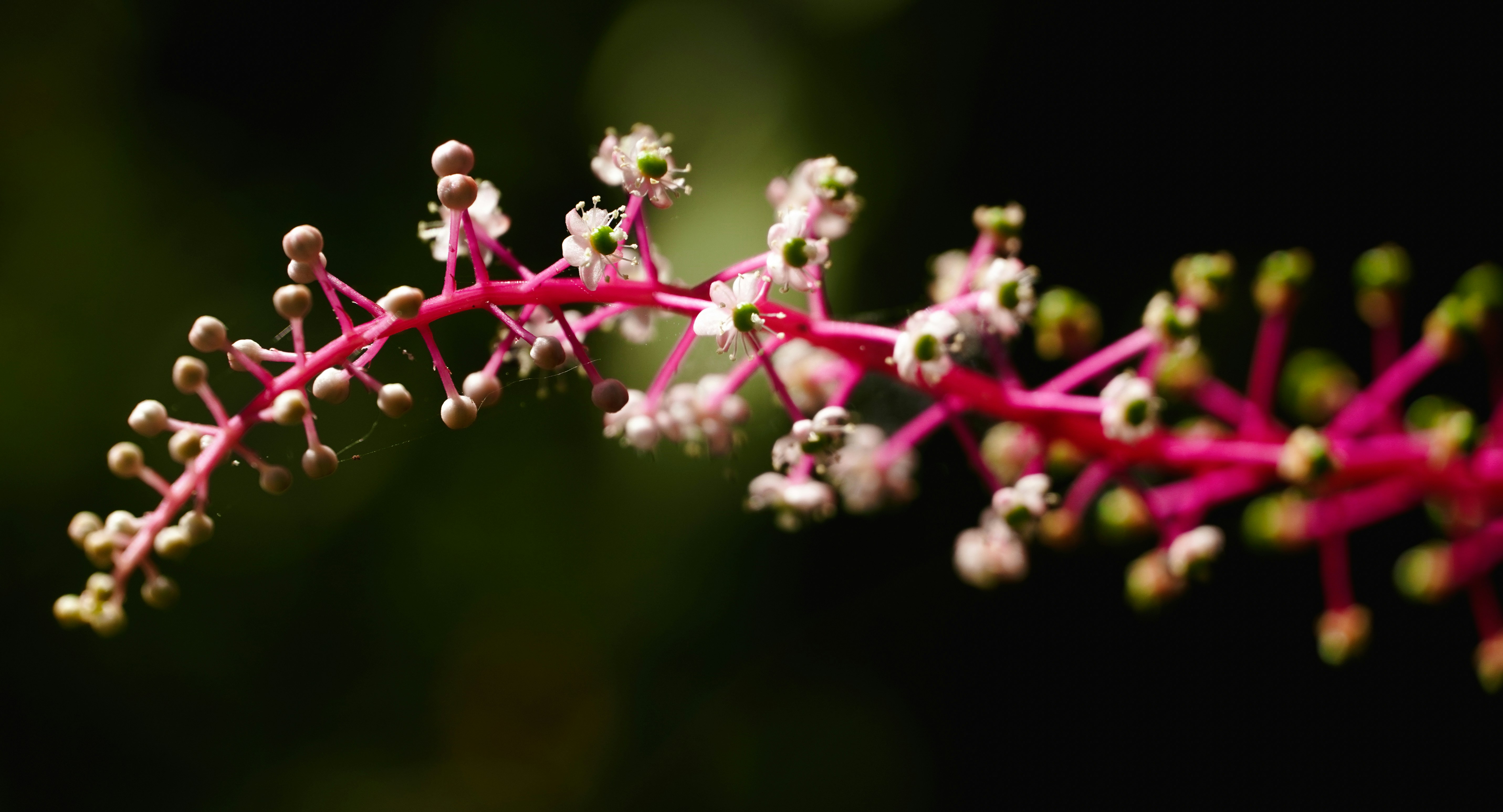 Photo by adrianvalverdem