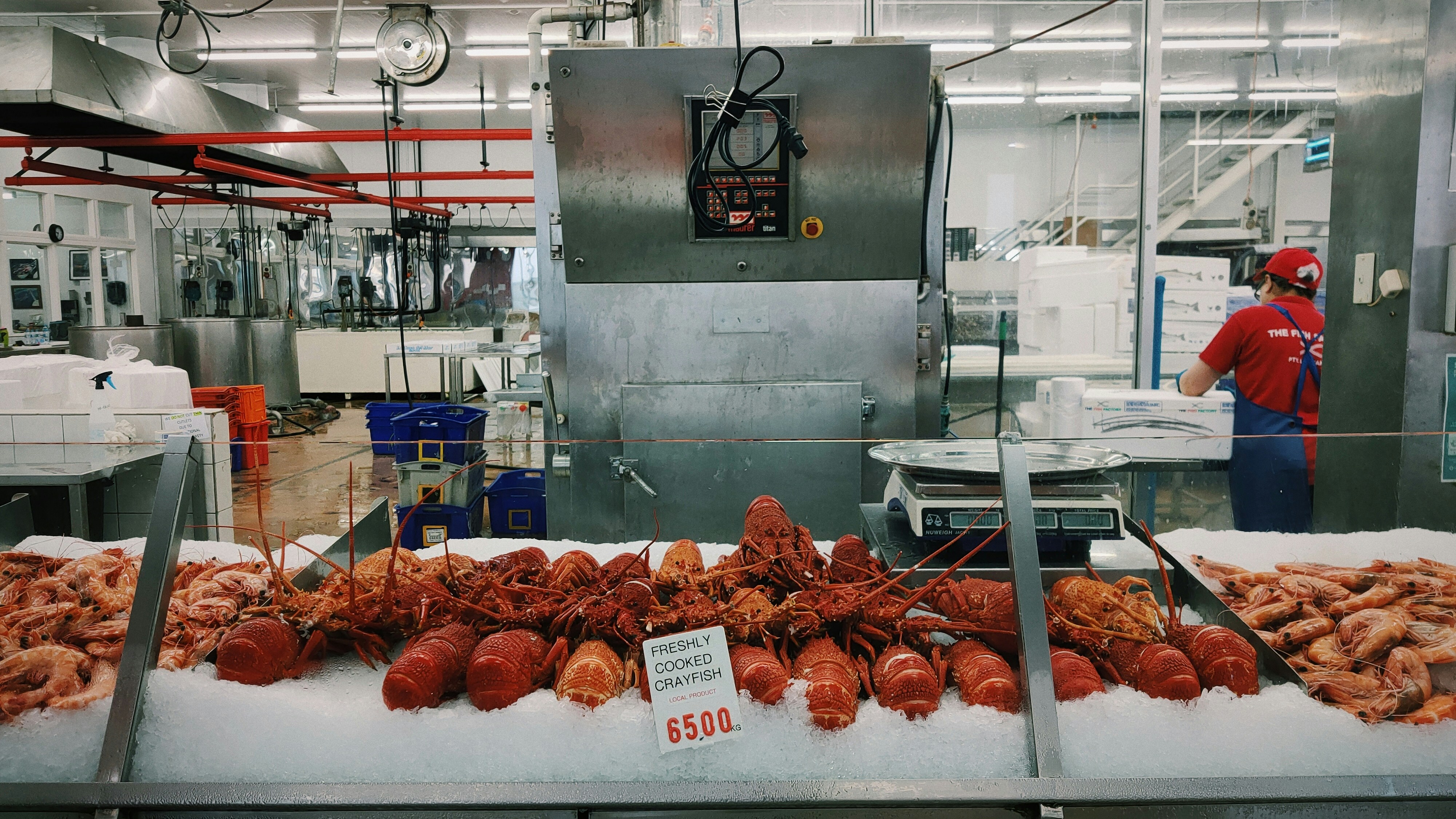 Fresh dried crayfish spread out on woven baskets.