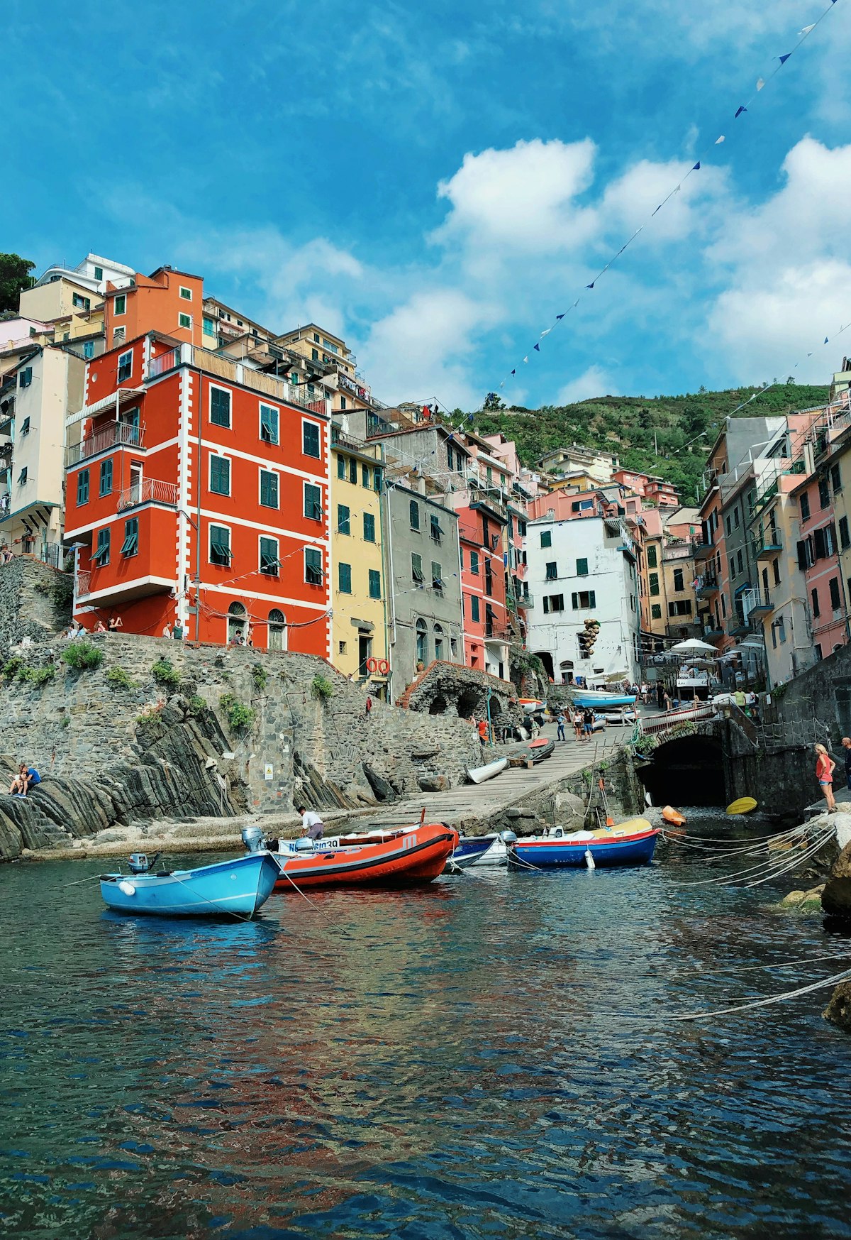 Cinque Terre October — autumn vines on the terraced hillsides above the Ligurian coast