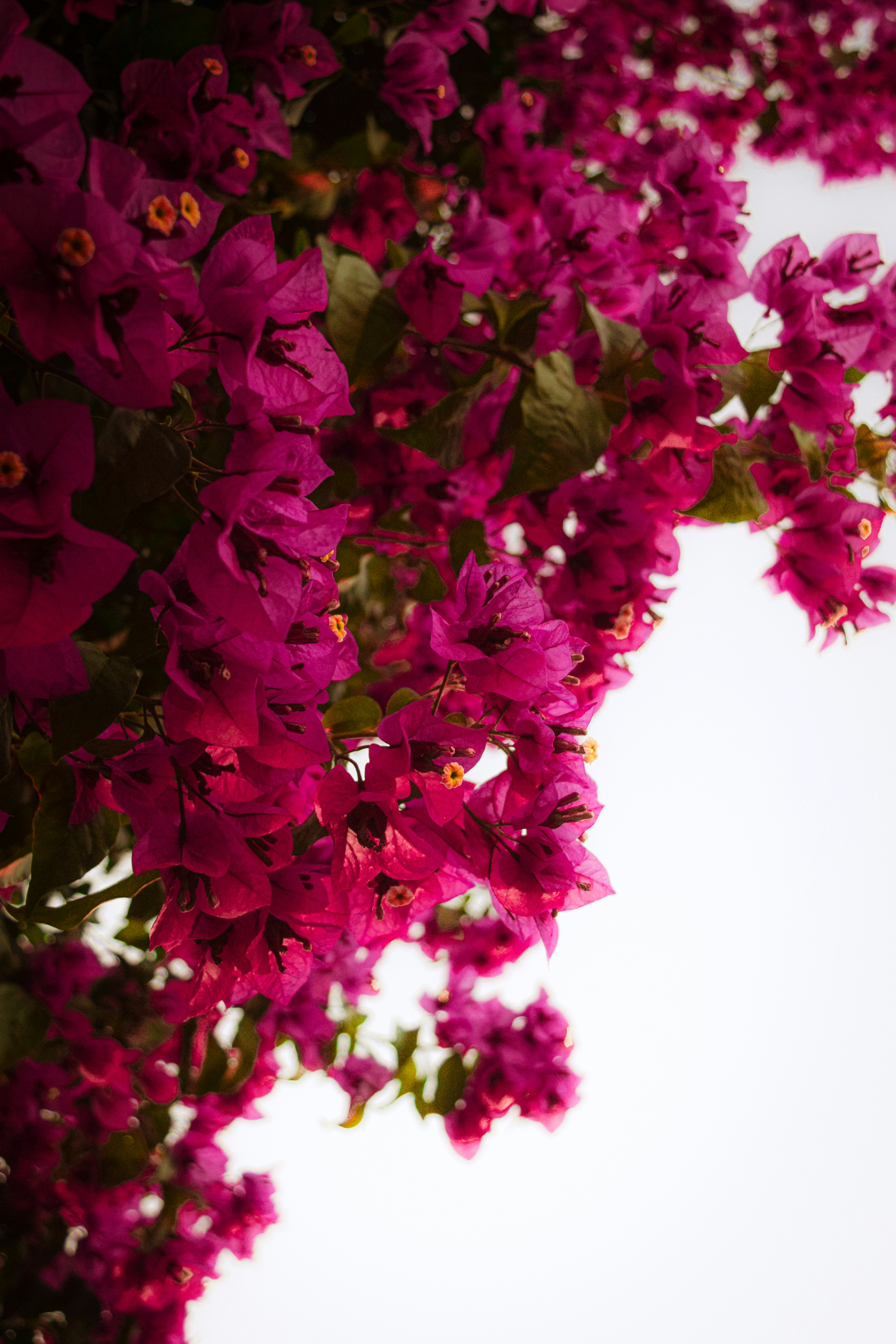 Photo by diianamfernandes