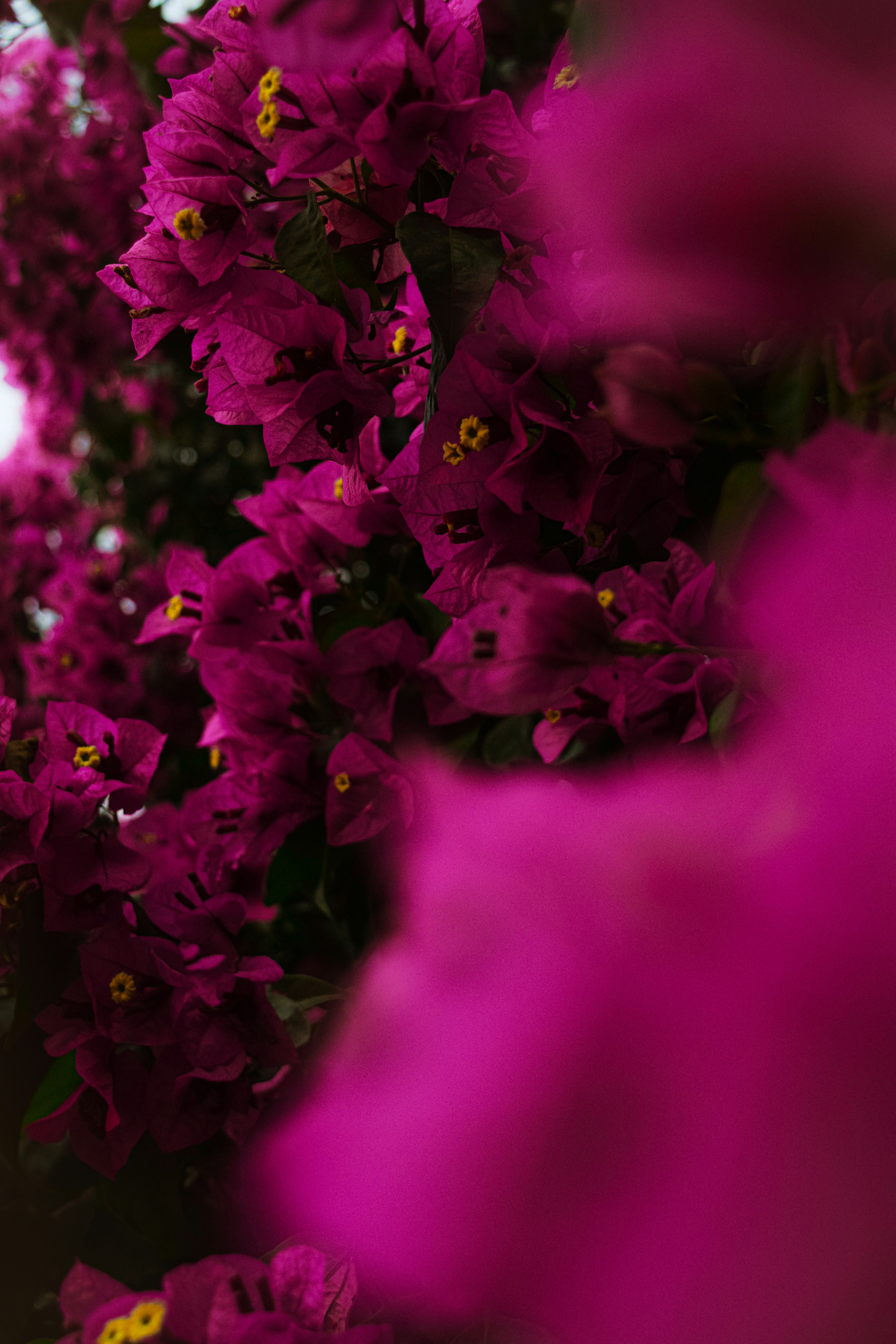 Photo by diianamfernandes