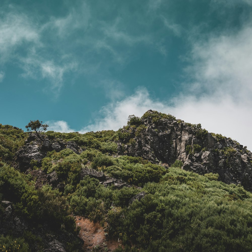 montanha verde e marrom sob o céu azul durante o dia