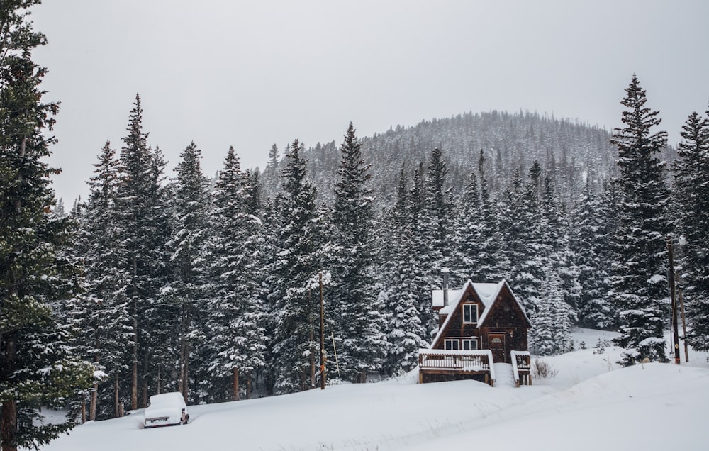 Braunes Holzhaus auf schneebedecktem Boden in der Nähe von Bäumen tagsüber