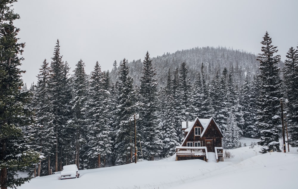 brown wooden house on snow covered ground near trees during daytime