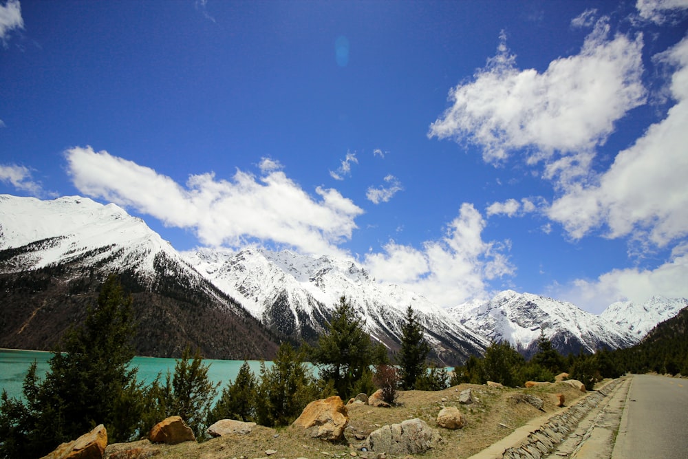 green trees near snow covered mountain during daytime