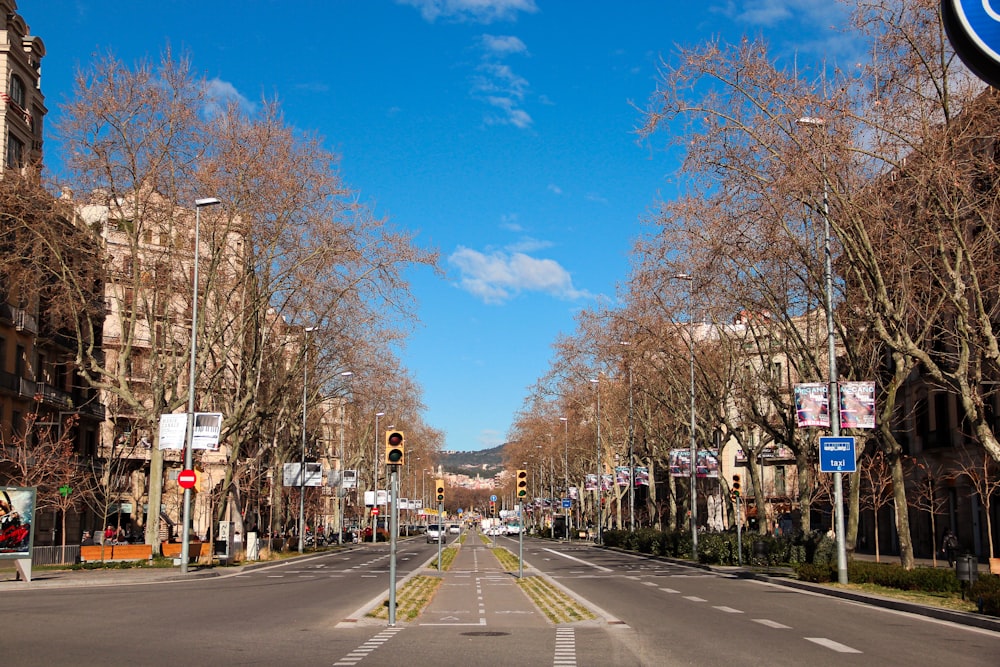 people walking on street during daytime