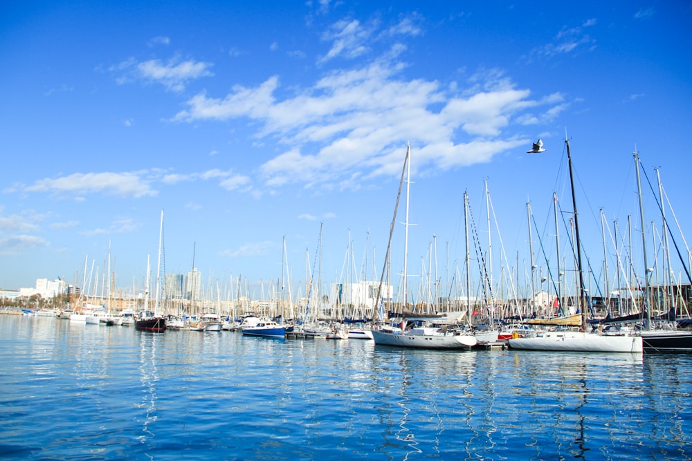 white and blue boats on sea under blue sky during daytime