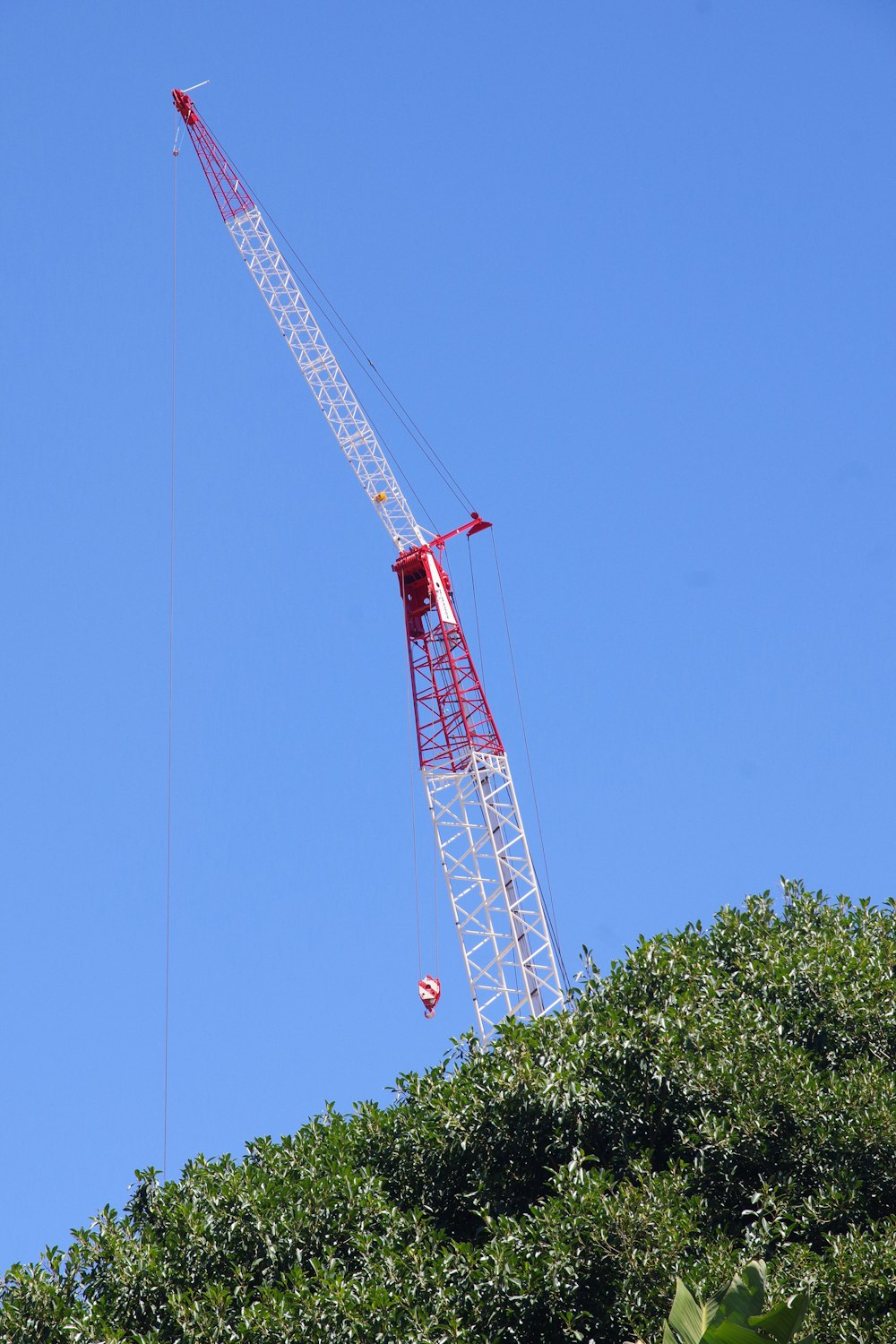 red and gray crane under blue sky during daytime