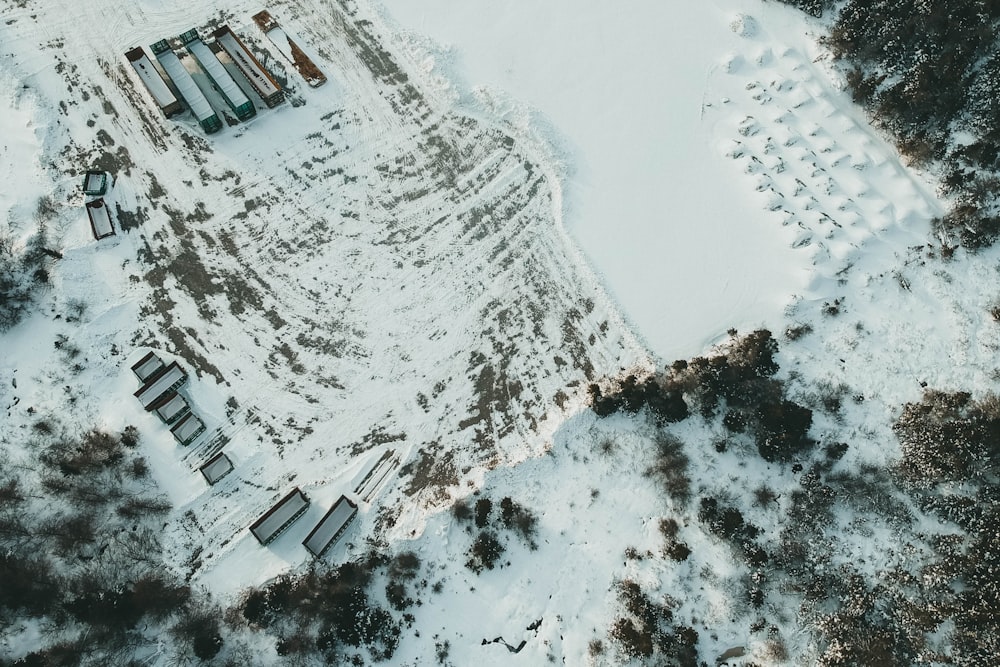 white and brown concrete buildings