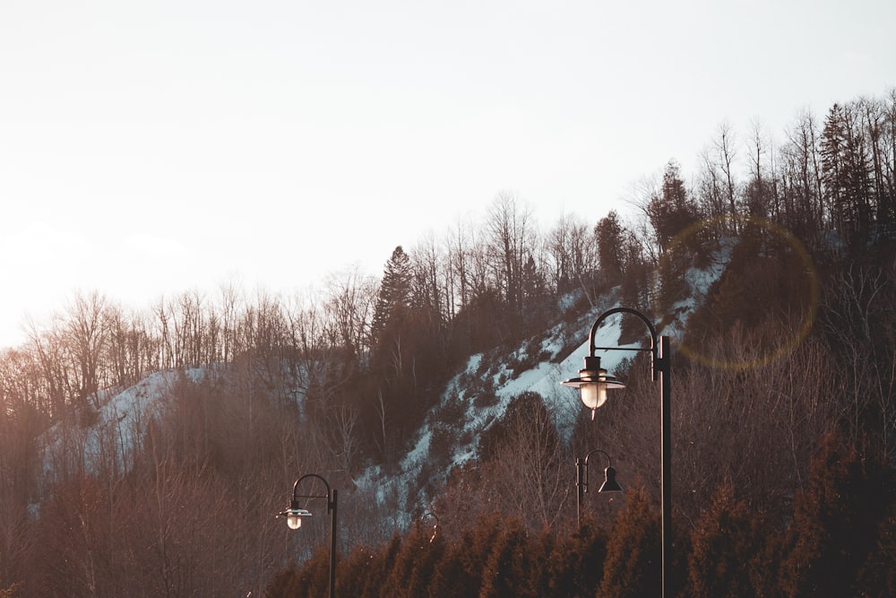 black cable car over snow covered trees