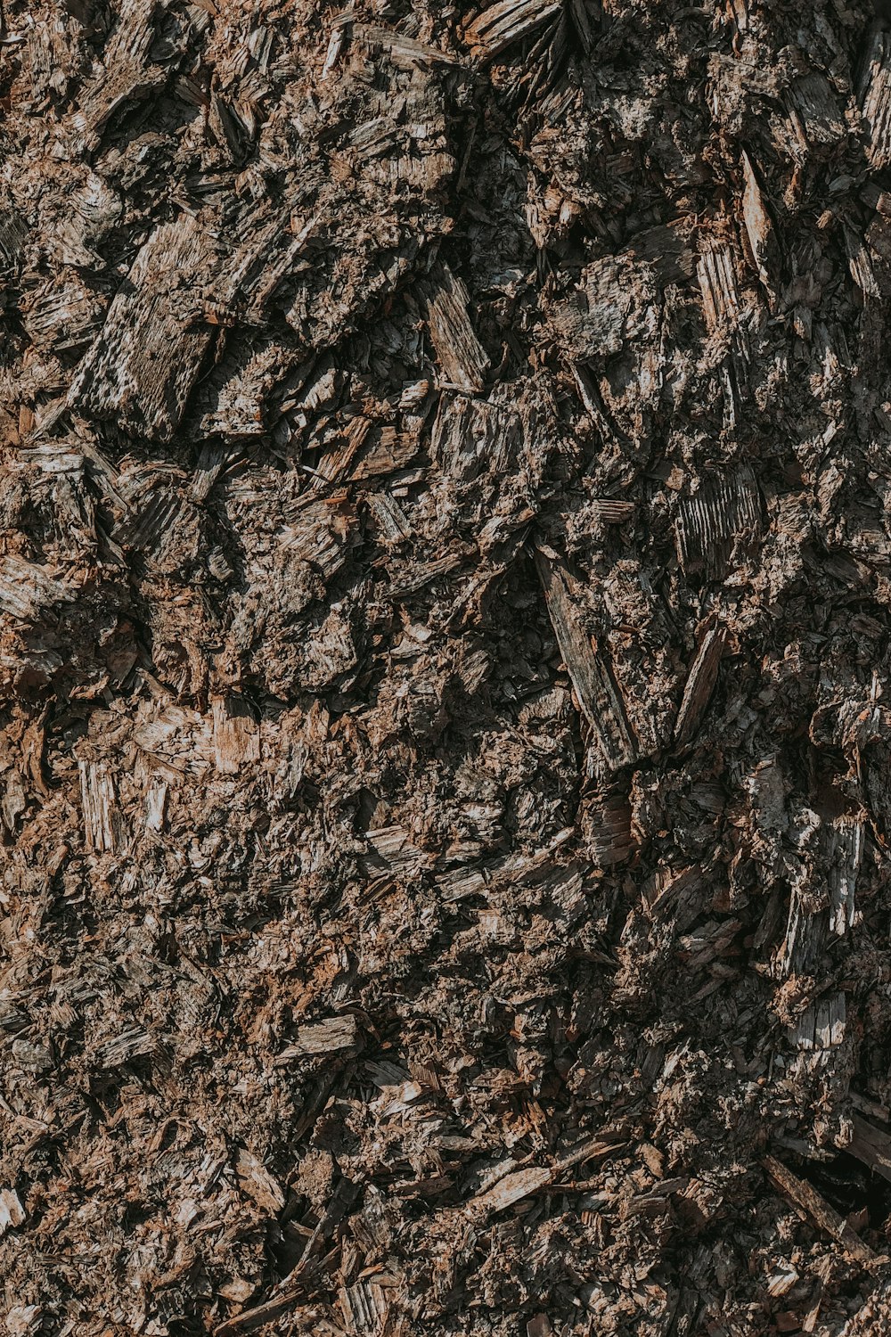 brown and black dried leaves