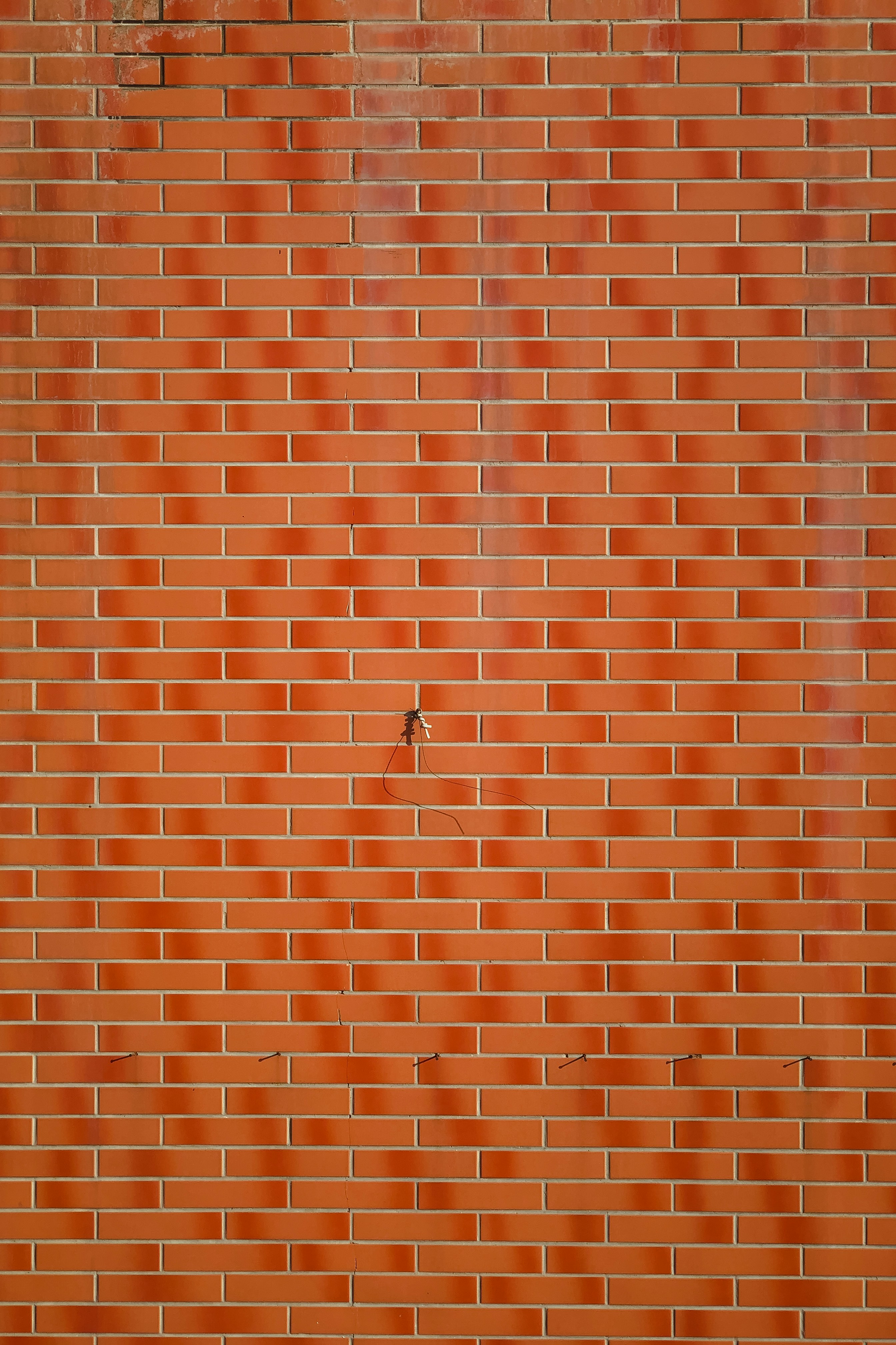Keep it simple and earthy with a brown background from Unsplash. All of our images are beautiful, curated, and free to download. Welcome to the future.