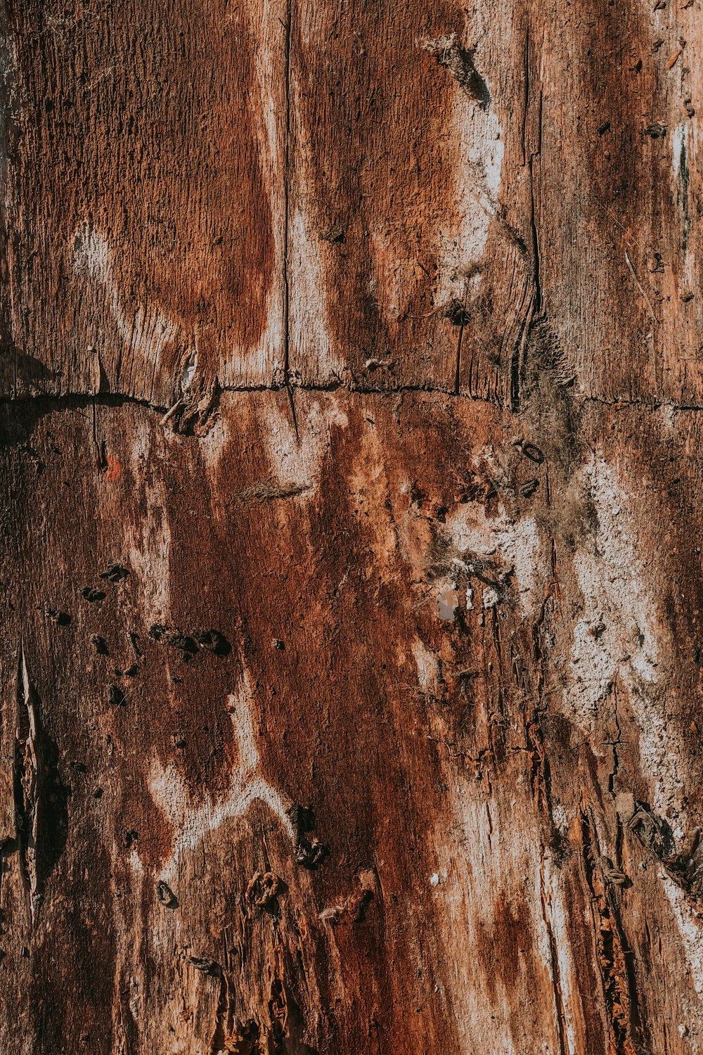 brown and white wooden board