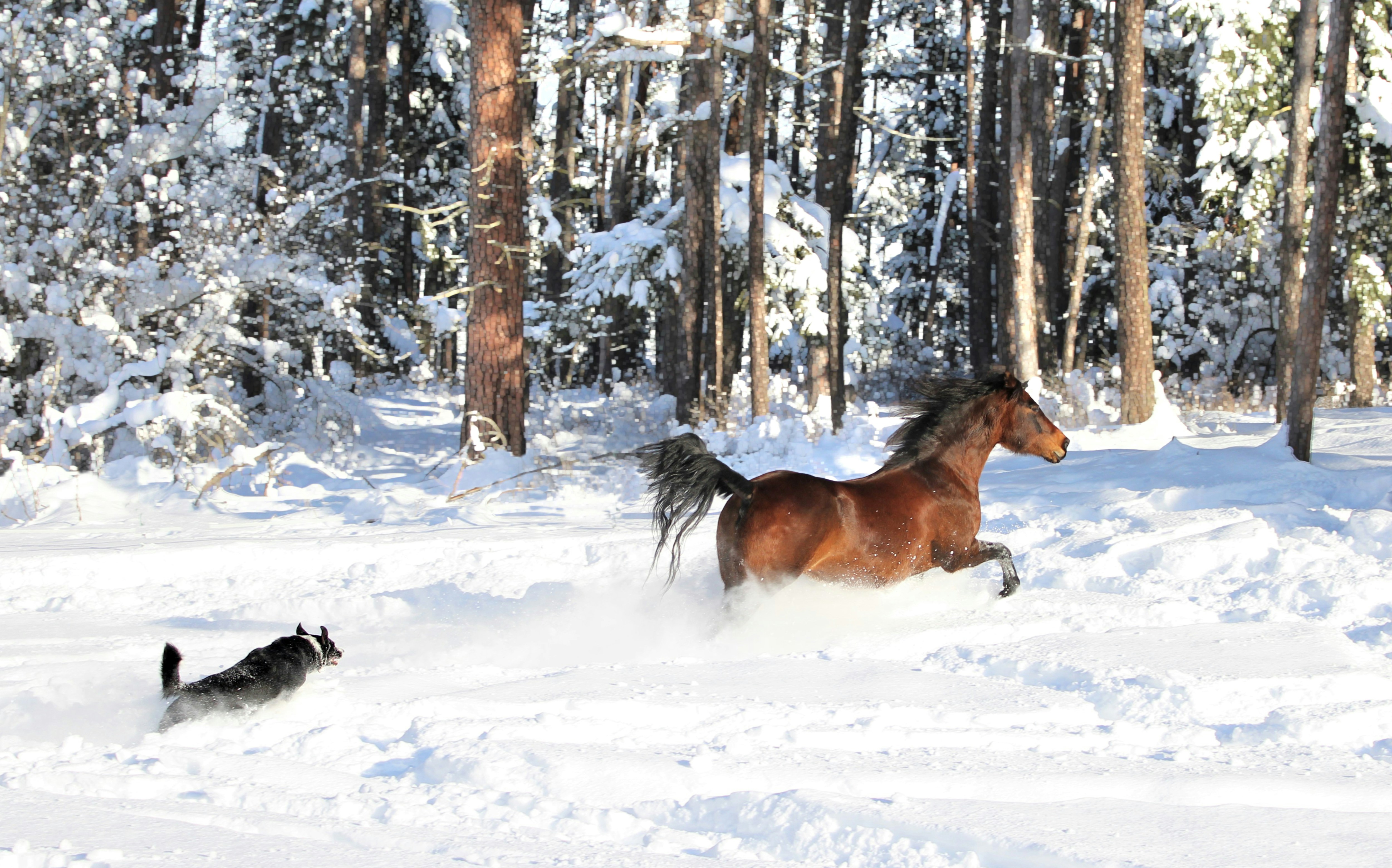 Photo by frozenmoments