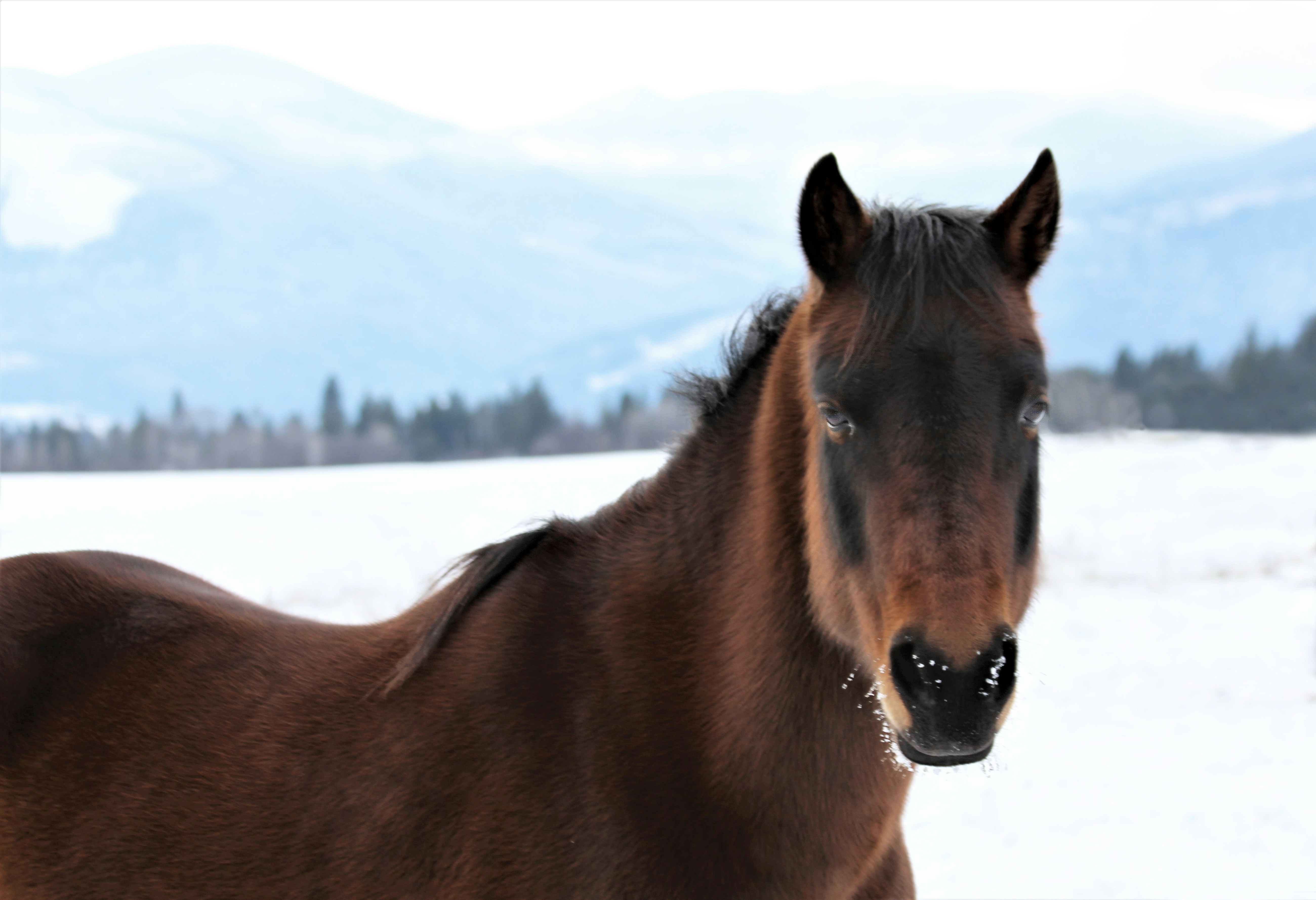 Photo by frozenmoments