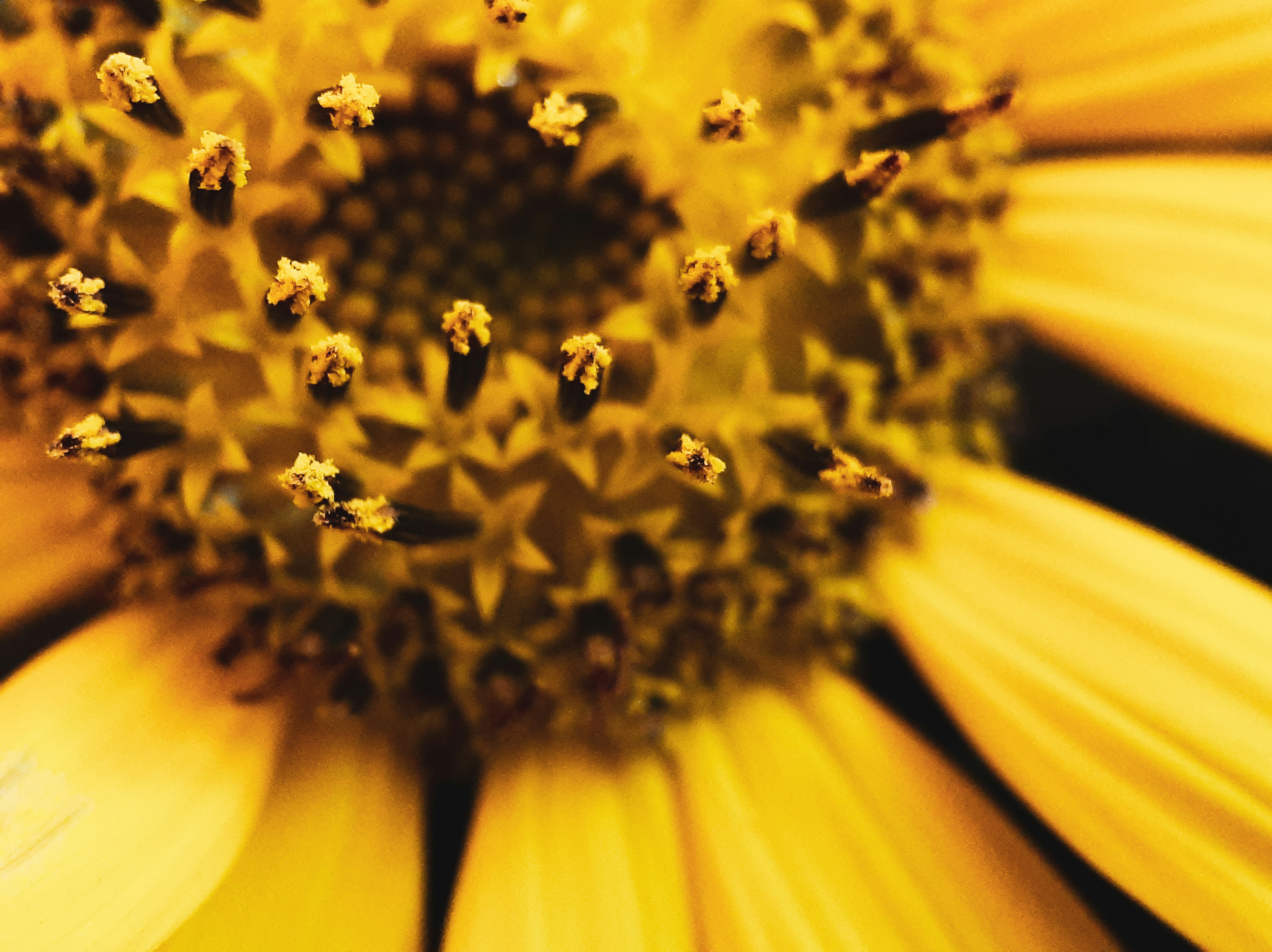 Photo by mohamad_varzandeh