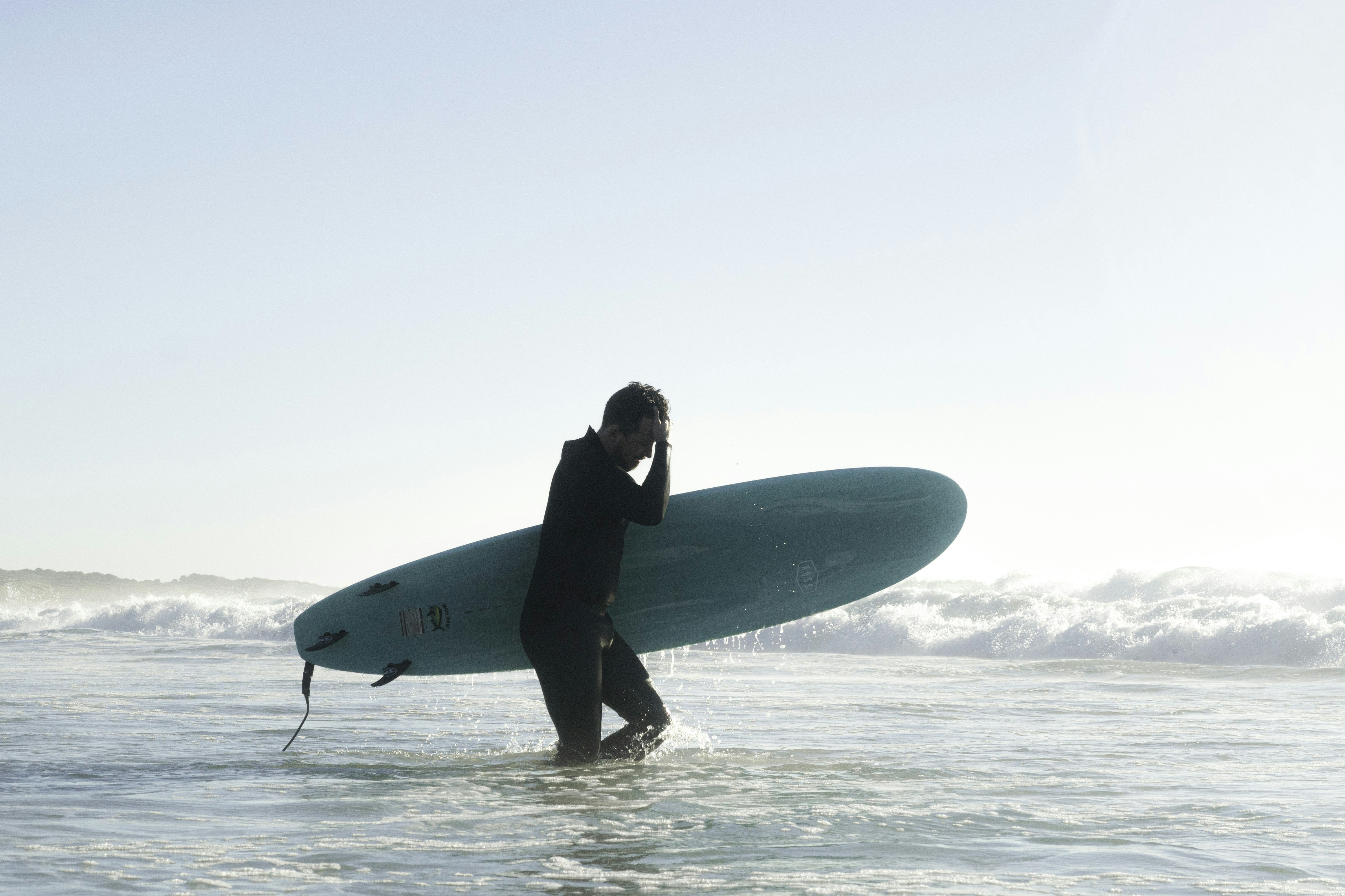 Soil and organic matter