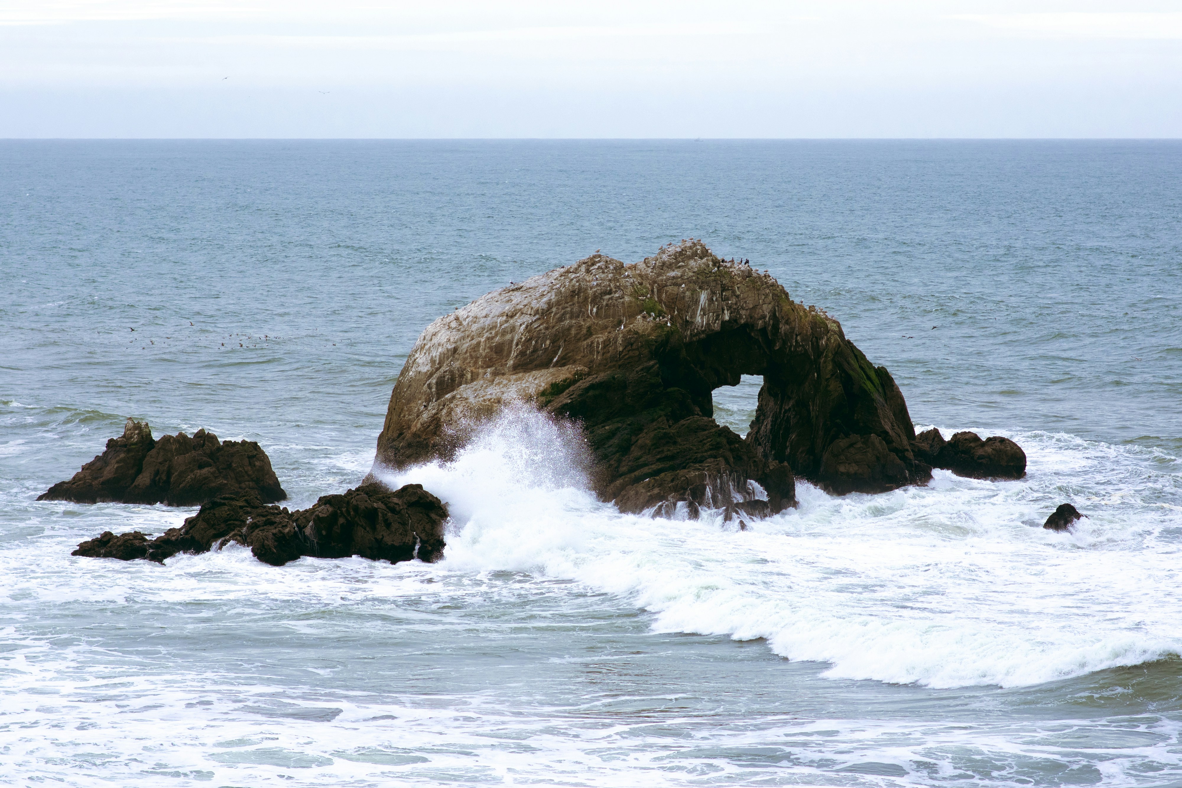 Photo by patrickperkins