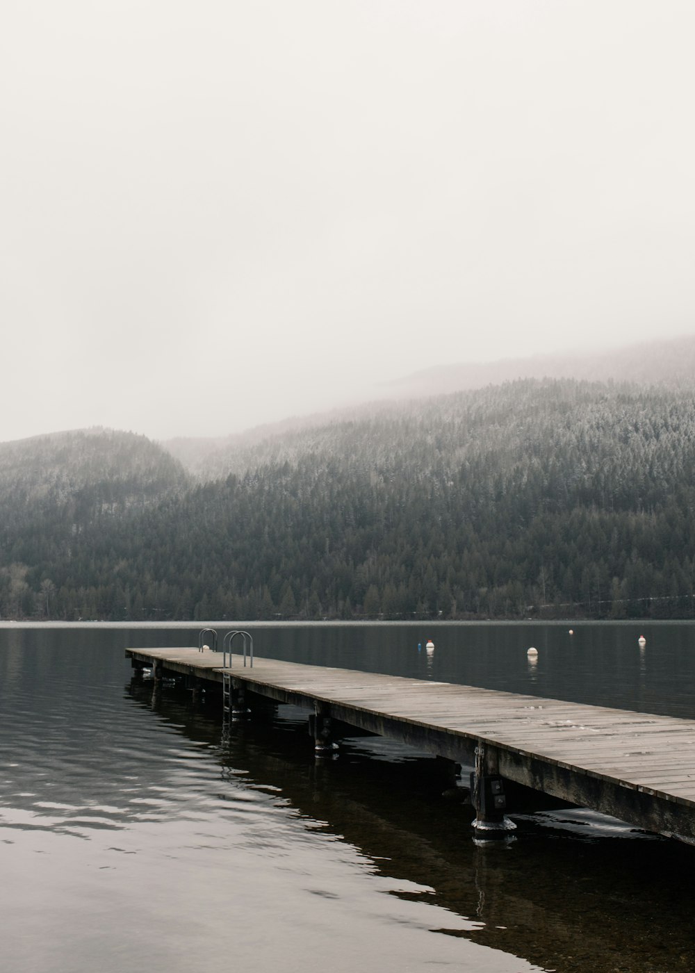 brown wooden dock on lake during daytime