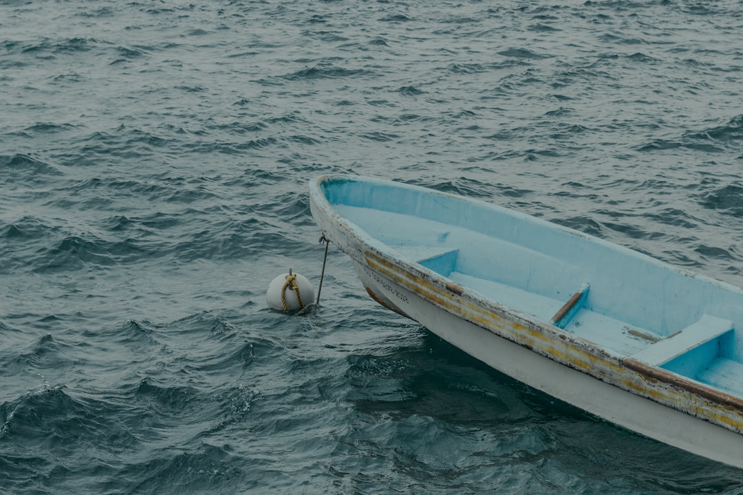 white and blue boat on body of water during daytime