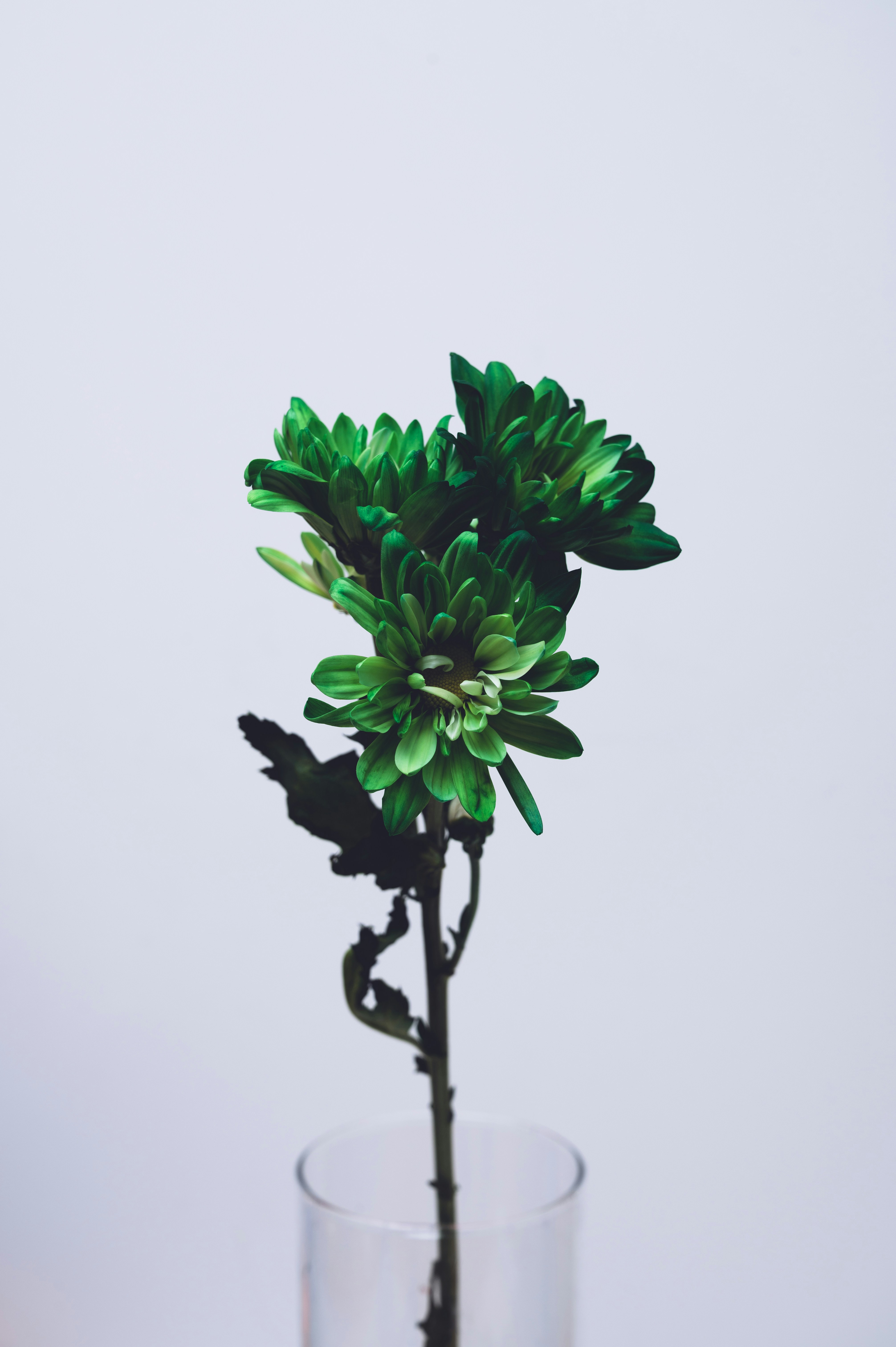 Photo by ryunosuke_kikuno