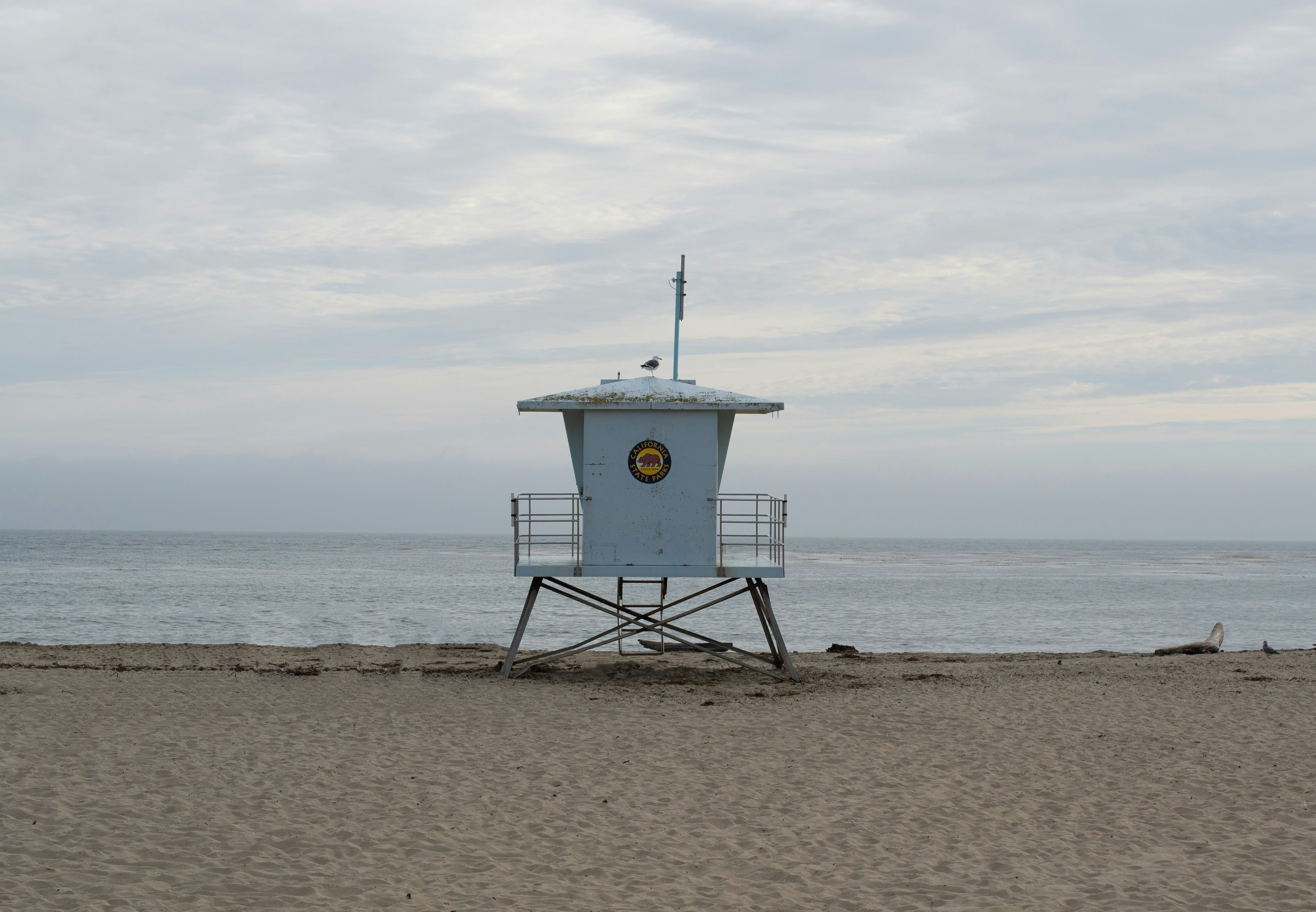 Photo by bodegastaples