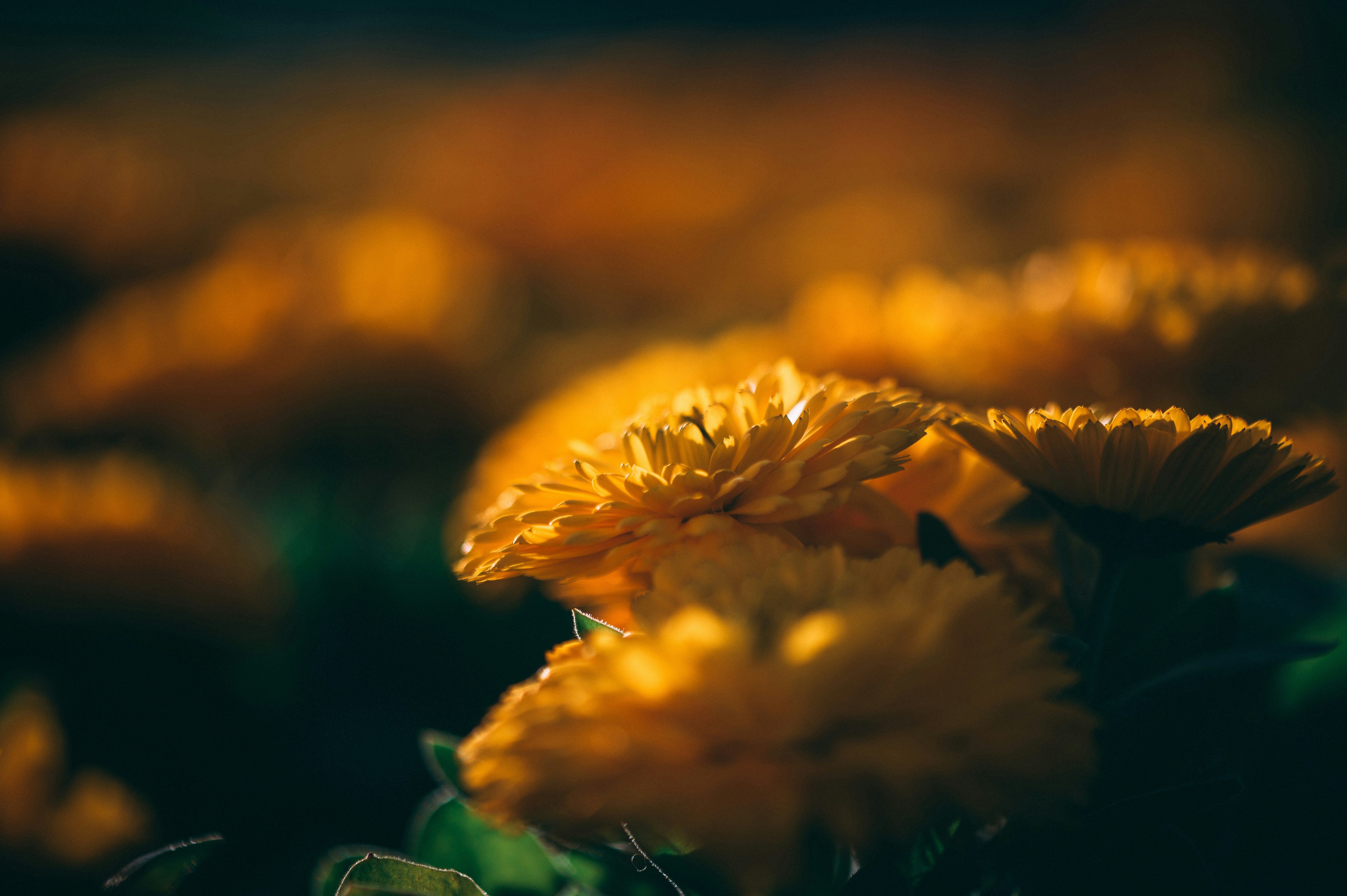 Photo by bodegastaples