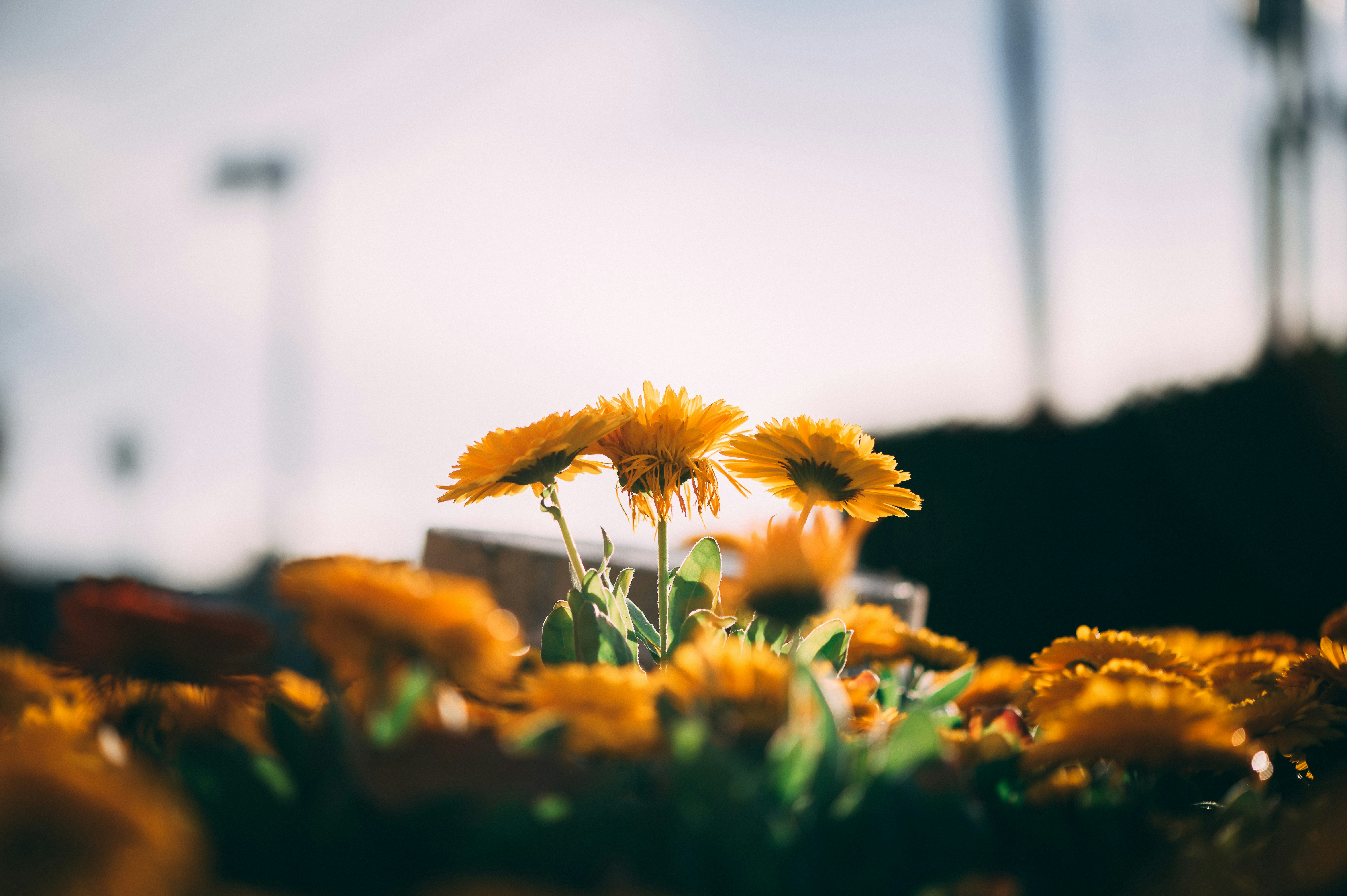 Photo by bodegastaples