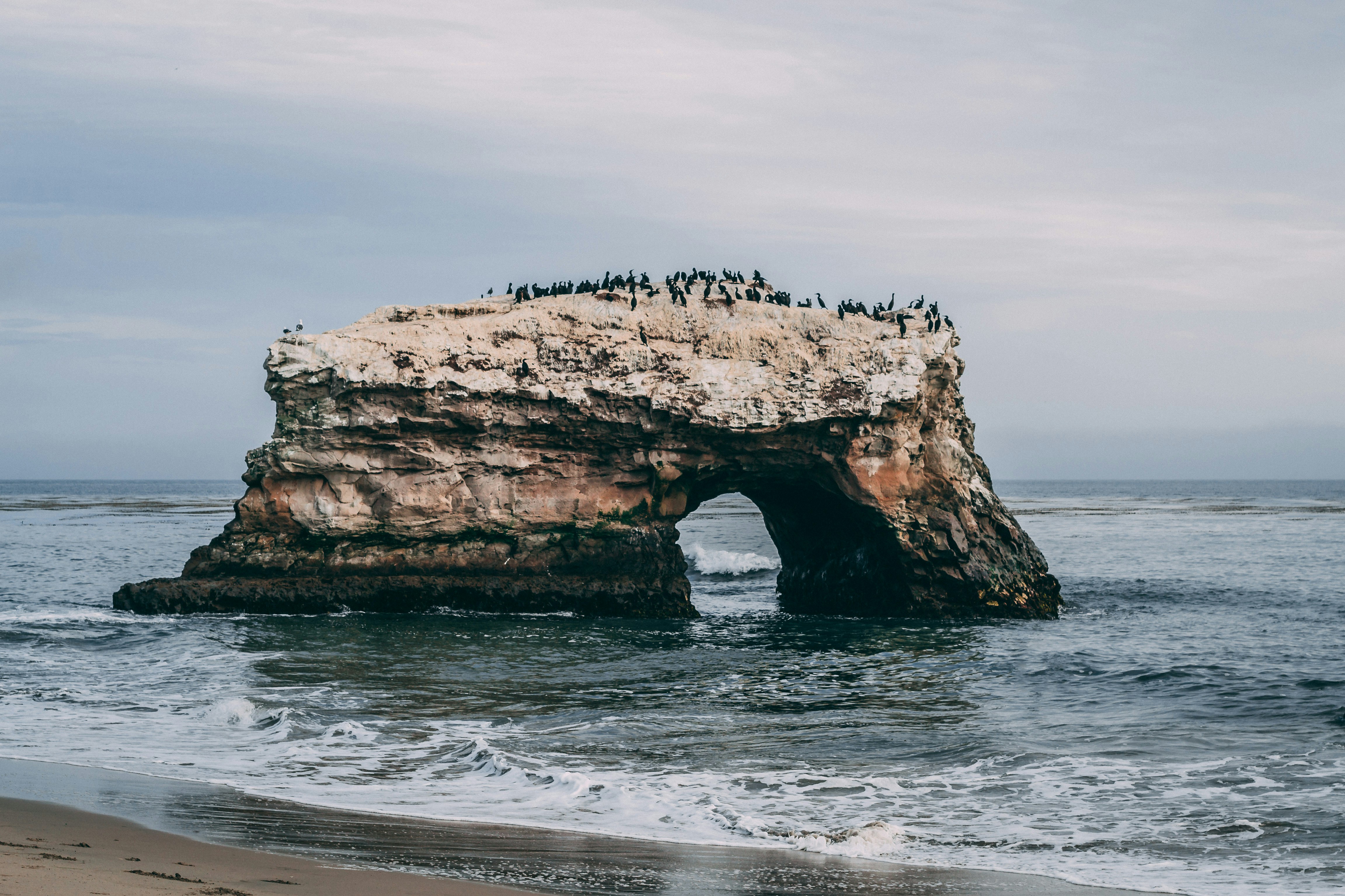 Photo by bodegastaples