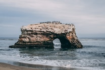 A large natural rock formation with an arch stands in the ocean. Numerous birds are perched on top of the rock. Waves gently crash against the base, and the sky is overcast, contributing to a calm yet somber atmosphere.