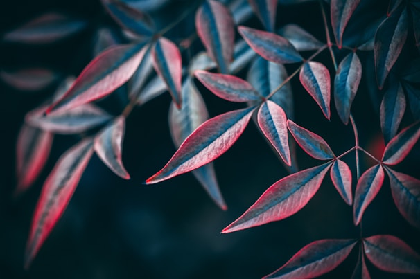 Close-up of vibrant color prints showcasing the quality of kumar printers' work.