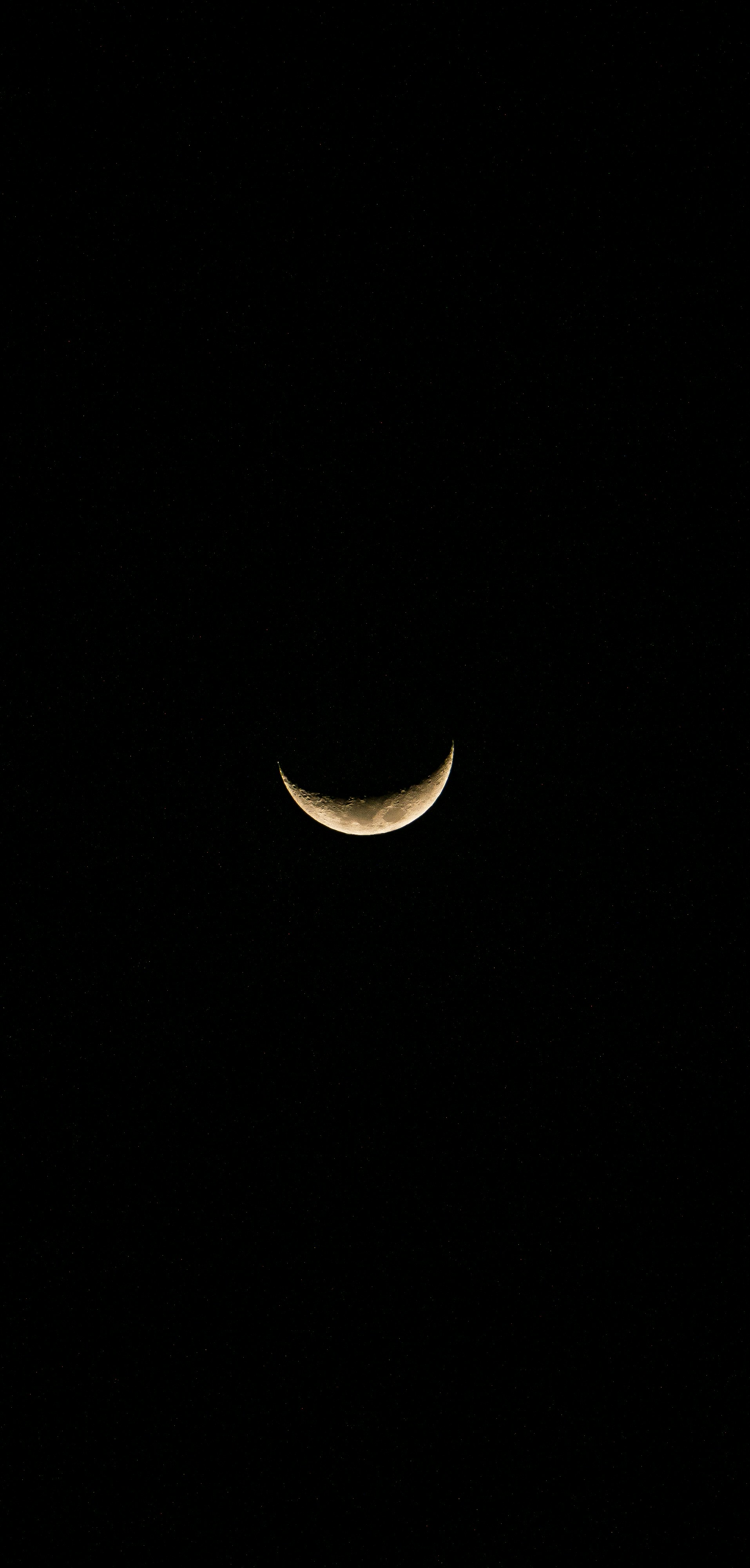 Photo by daniel_joshua_