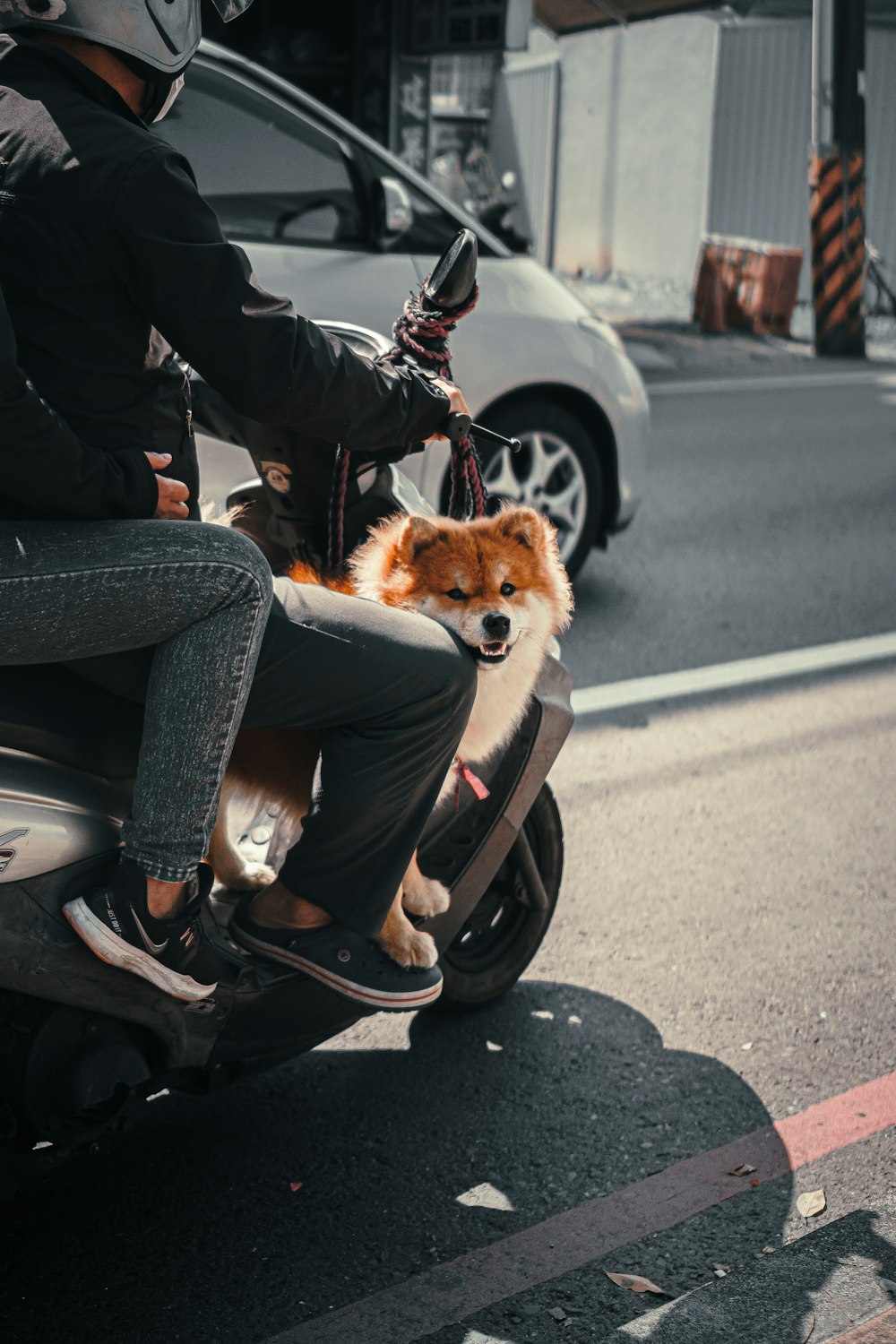 man in black jacket and blue denim jeans riding on brown and black motor scooter with on on on on