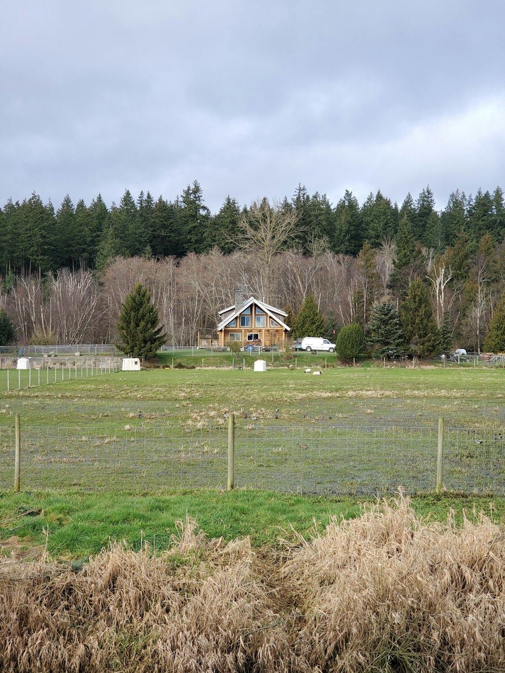 brown and white house on green grass field