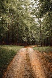 brown dirt road between green grass and trees during daytime