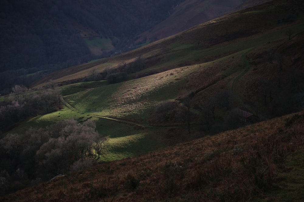 green grass field and mountains during daytime