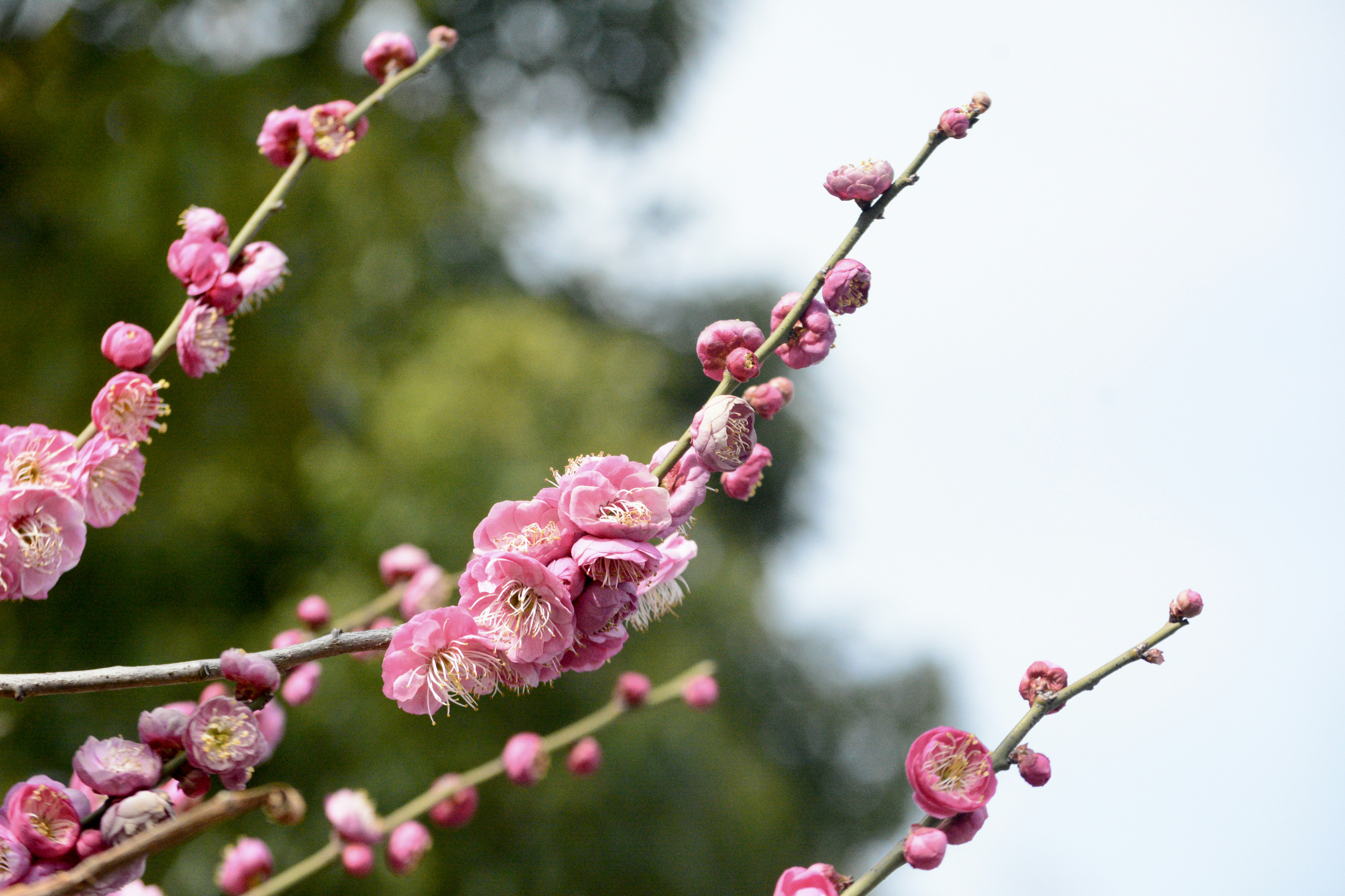 Photo by yunhaoqian