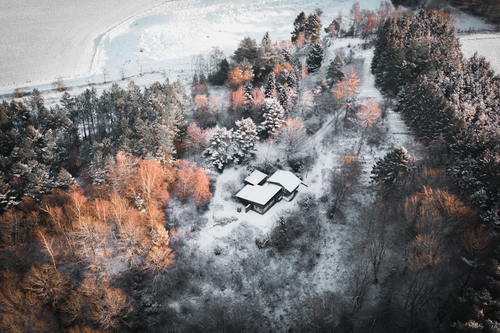 black car on snow covered ground surrounded by trees