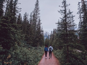 A couple walks hand in hand down a forested path surrounded by tall evergreen trees, with a mountain visible in the distance. The scene is serene and peaceful, suggesting a connection with nature and adventure.