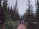 A couple walks hand in hand down a forested path surrounded by tall evergreen trees, with a mountain visible in the distance. The scene is serene and peaceful, suggesting a connection with nature and adventure.